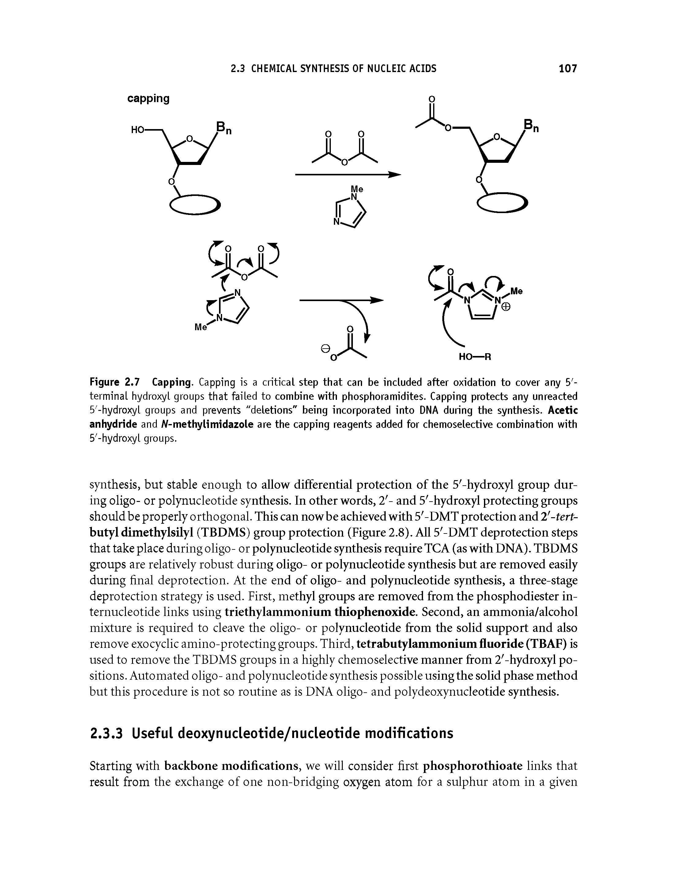 Figure 2.7 Capping. Capping is a critical step that can be included after oxidation to cover any 5 -terminal hydroxyl groups that failed to combine with phosphoramidites. Capping protects any unreacted 5 -hydroxyl groups and prevents "deletions" being incorporated into DNA during the synthesis. Acetic anhydride and Al-methylimidazole are the capping reagents added for chemoselective combination with...