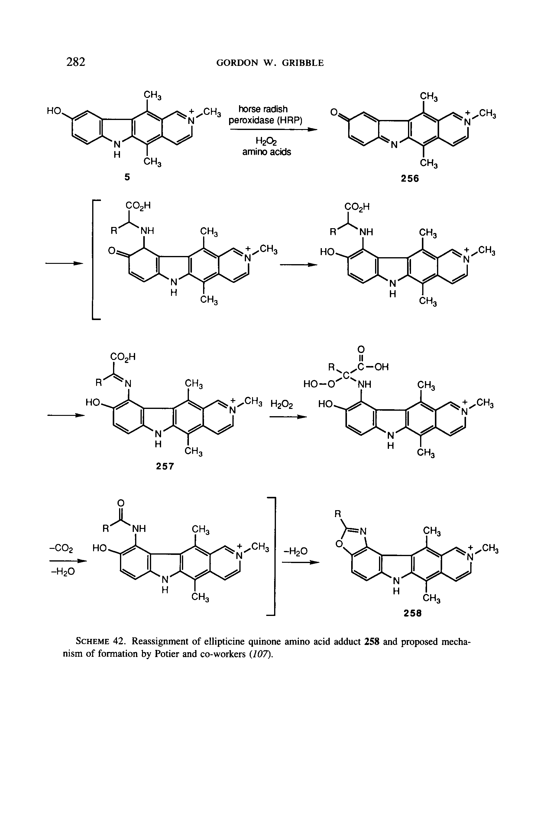 Scheme 42. Reassignment of ellipticine quinone amino acid adduct 258 and proposed mechanism of formation by Potier and co-workers (107).