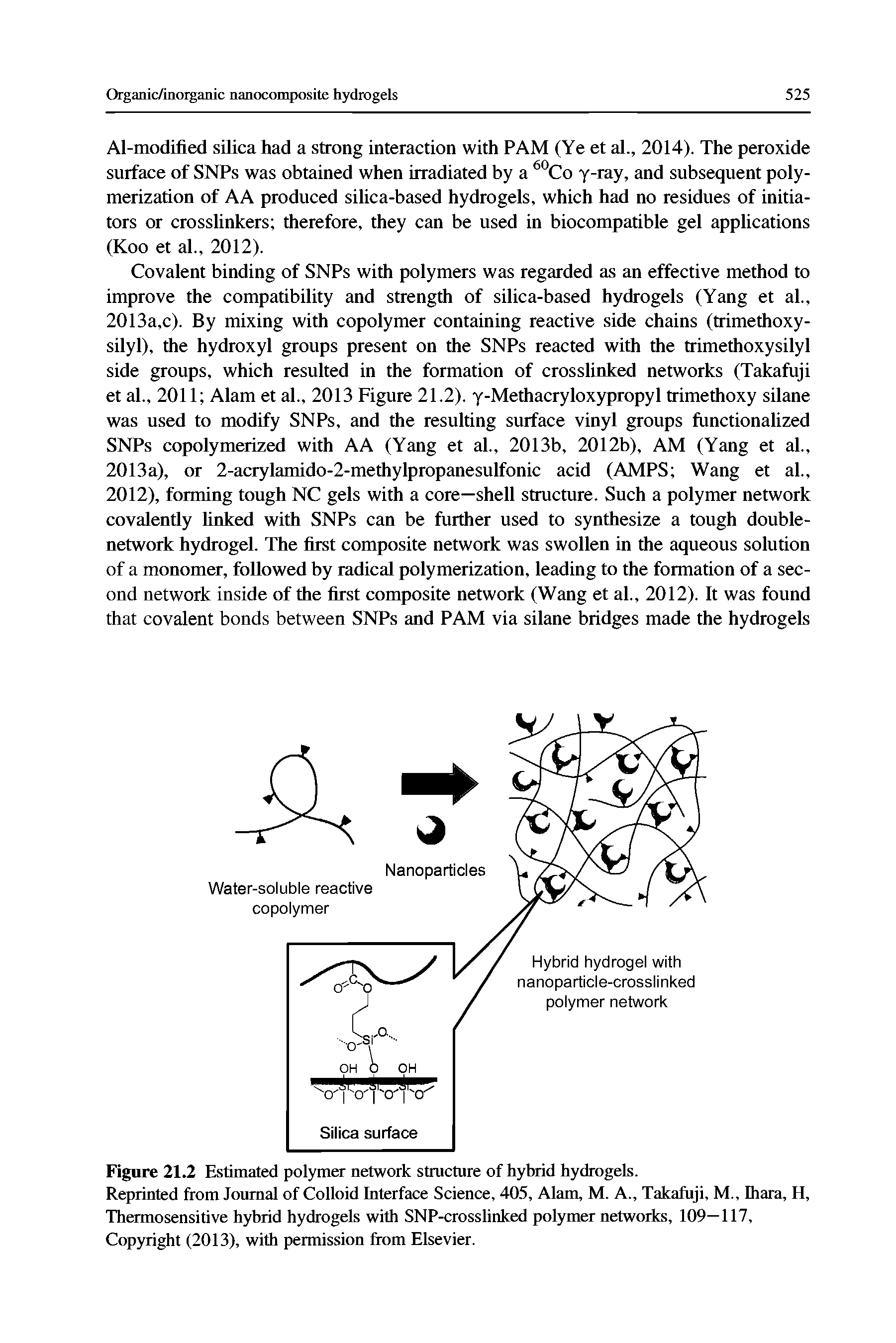 Figure 21.2 Estimated polymer network structure of hybrid hydrogels.