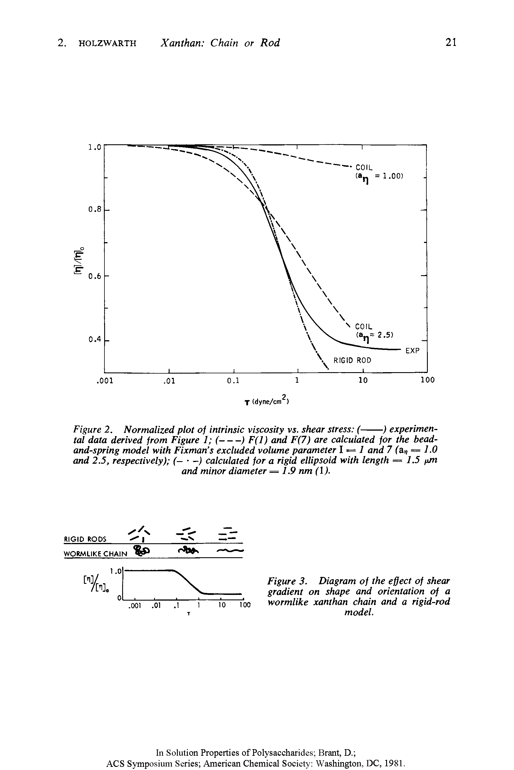 Figure 3. Diagram of the effect of shear gradient on shape and orientation of a wormlike xanthan chain and a rigid-rod model.