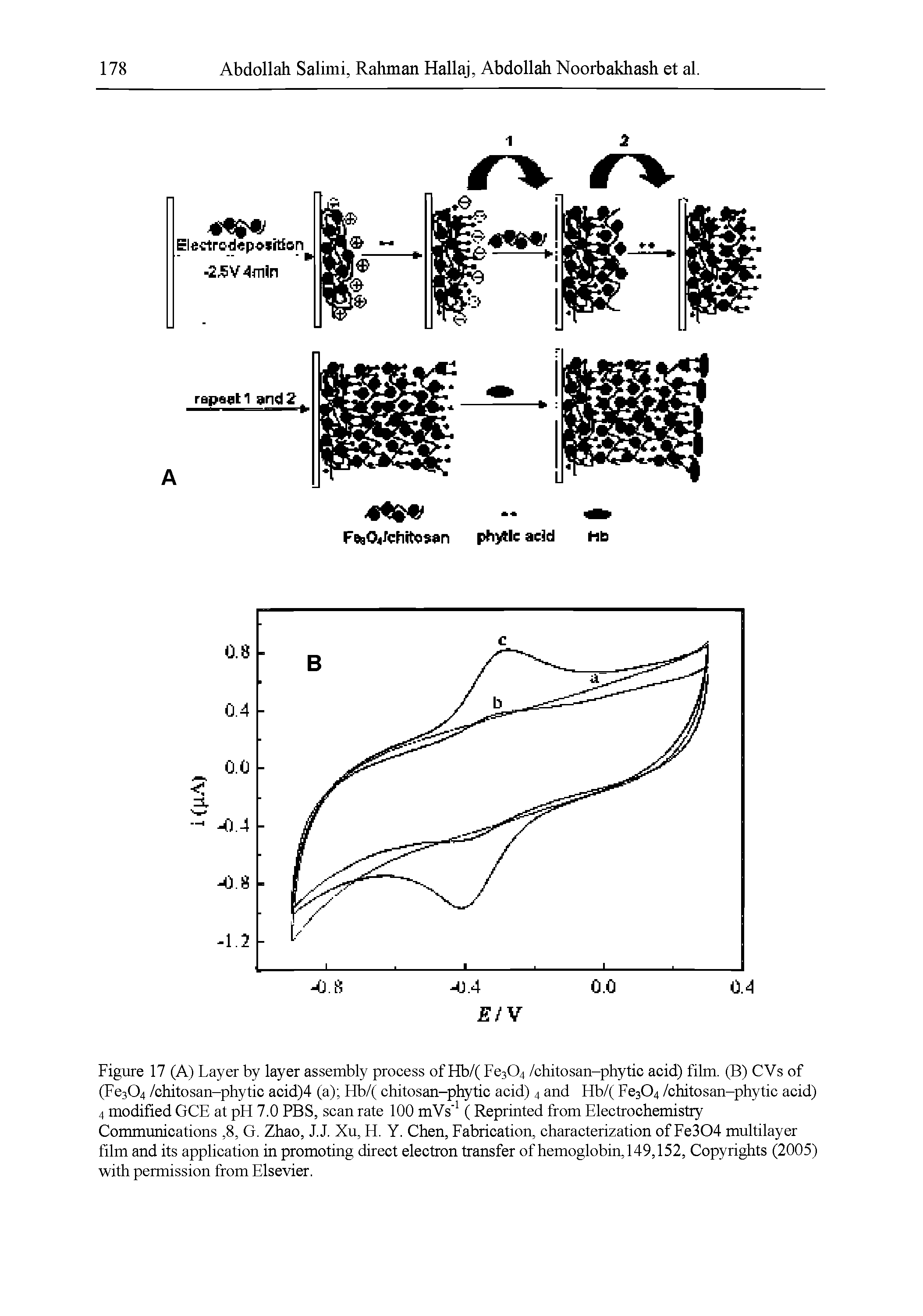 Figure 17 (A) Layer by layer assembly process of Hb/( Fe304 /chitosan-phytic acid) film. (B) CVs of (Fe304 /chitosan-phytic acid)4 (a) Hb/( chitosan-phytic acid) 4 and Hb/( Fe304 /chitosan-phytic acid) 4 modified GCE at pH 7.0 PBS, scan rate 100 mV s 1 (Reprinted from Electrochemistry Communications, 8, G. Zhao, J.J. Xu, H. Y. Chen, Fabrication, characterization of Fe304 multilayer film and its application in promoting direct electron transfer of hemoglobin, 149,152, Copyrights (2005) with permission from Elsevier.