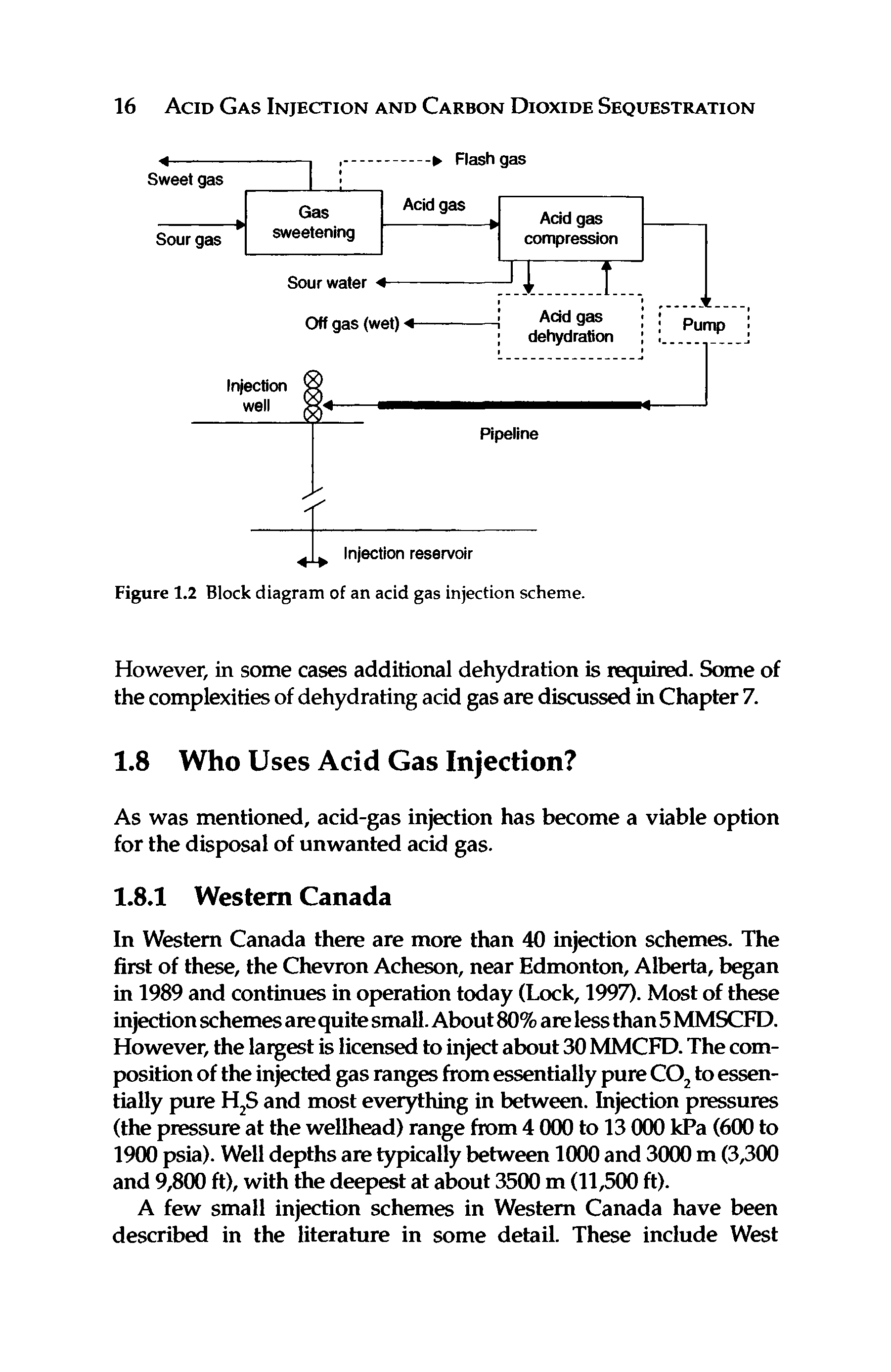 Figure 1.2 Block diagram of an acid gas injection scheme.