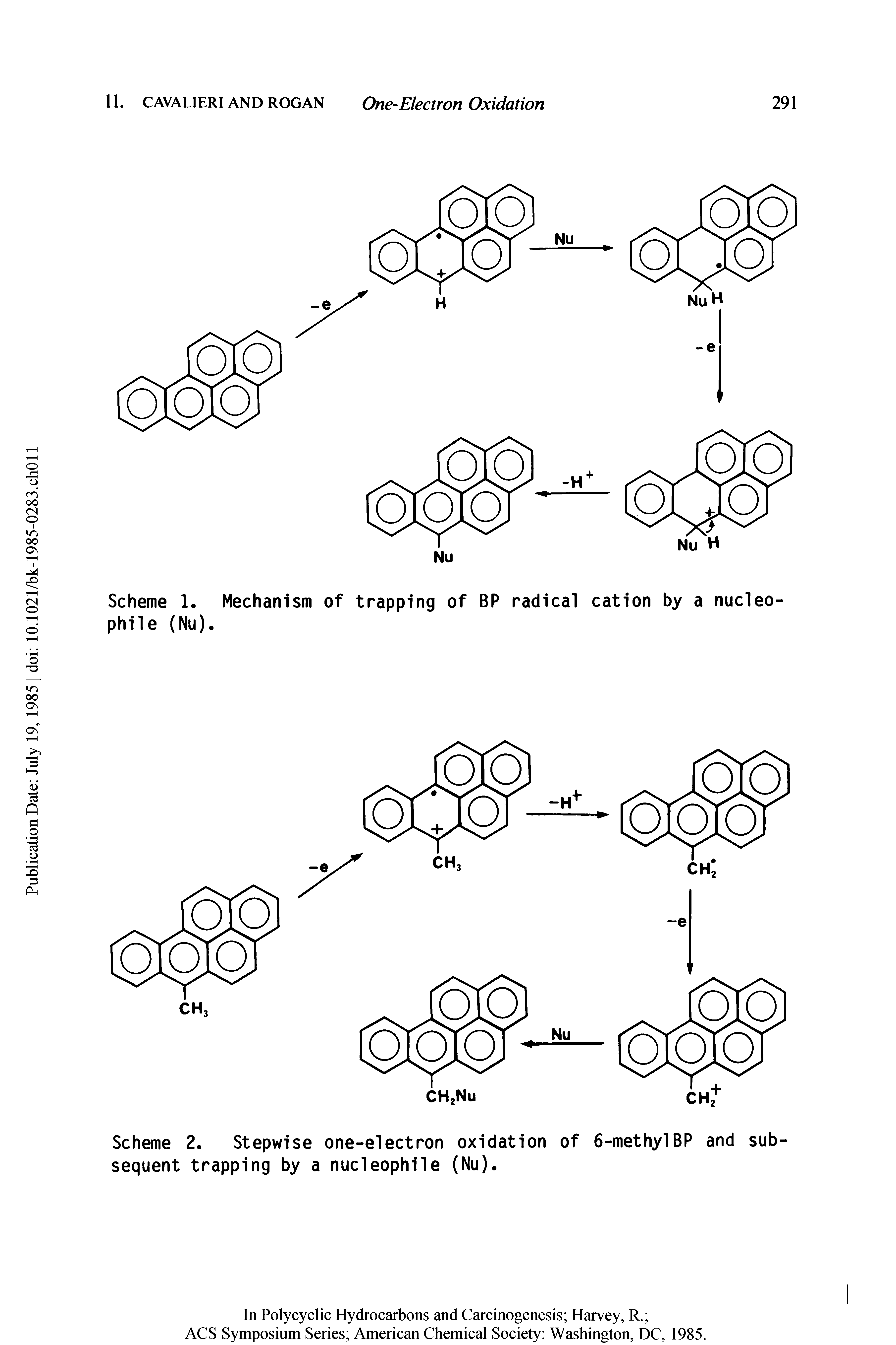 Scheme 1. Mechanism of trapping of BP radical cation by a nucleophile (Nu).