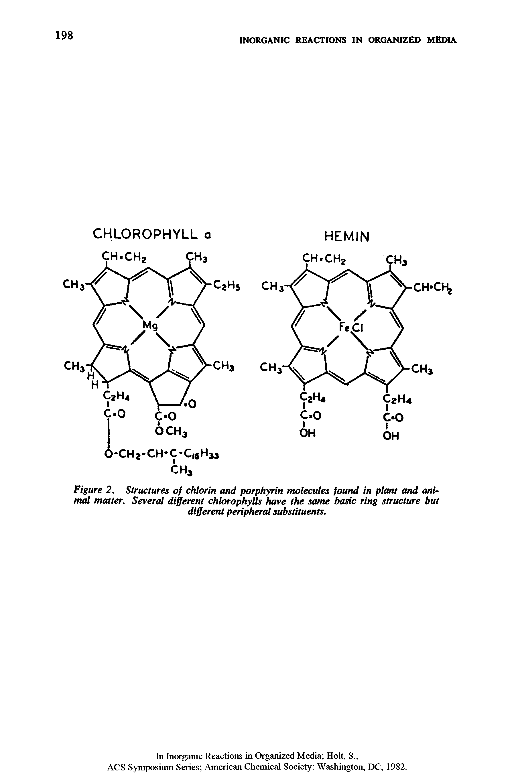 Figure 2. Structures of chlorin and porphyrin molecules found in plant and animal matter. Several different chlorophylls have the same basic ring structure but different peripheral substituents.