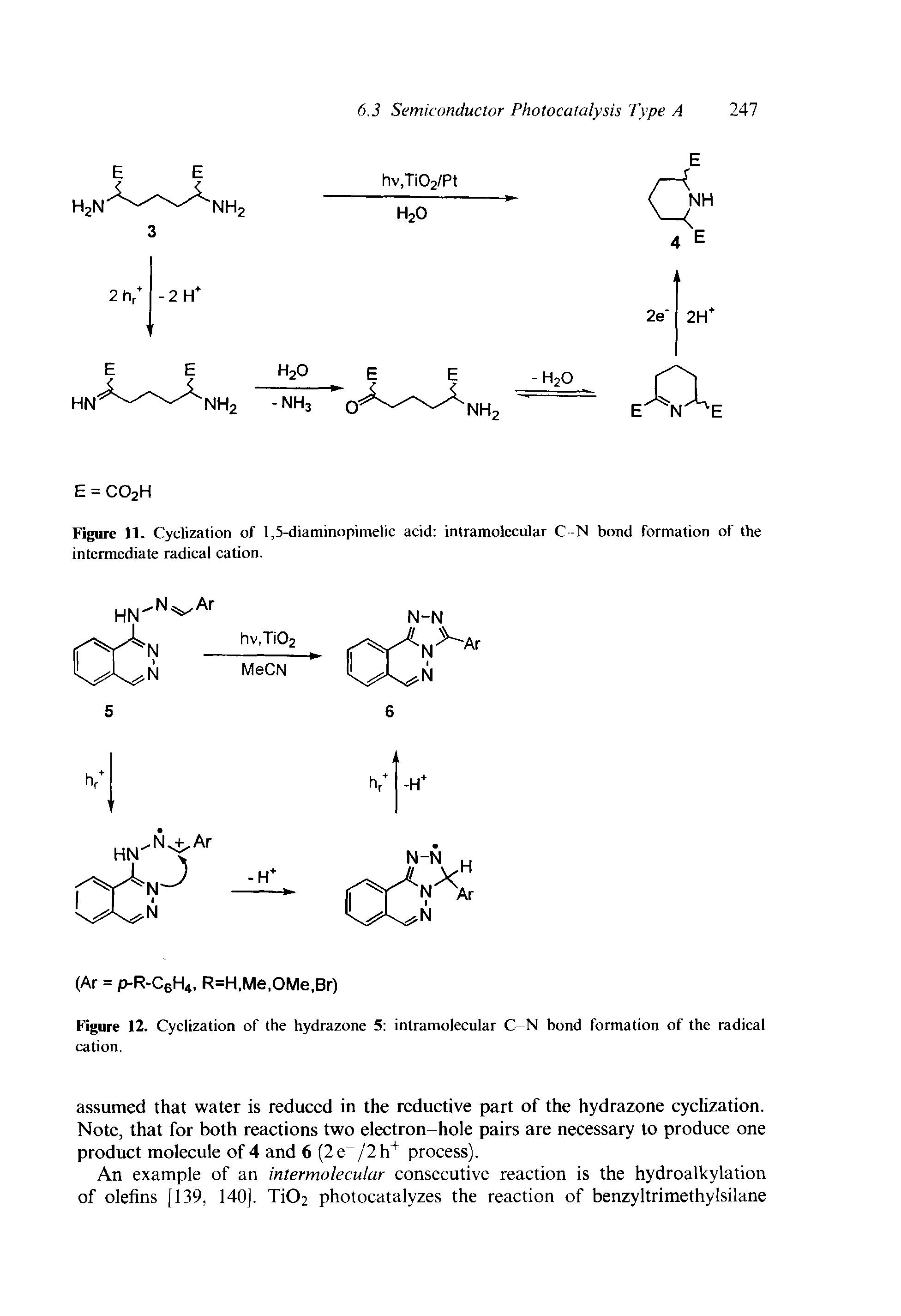 Figure 11. Cyclization of 1,5-diaminopimelic acid intramolecular C M bond formation of the intermediate radical cation.