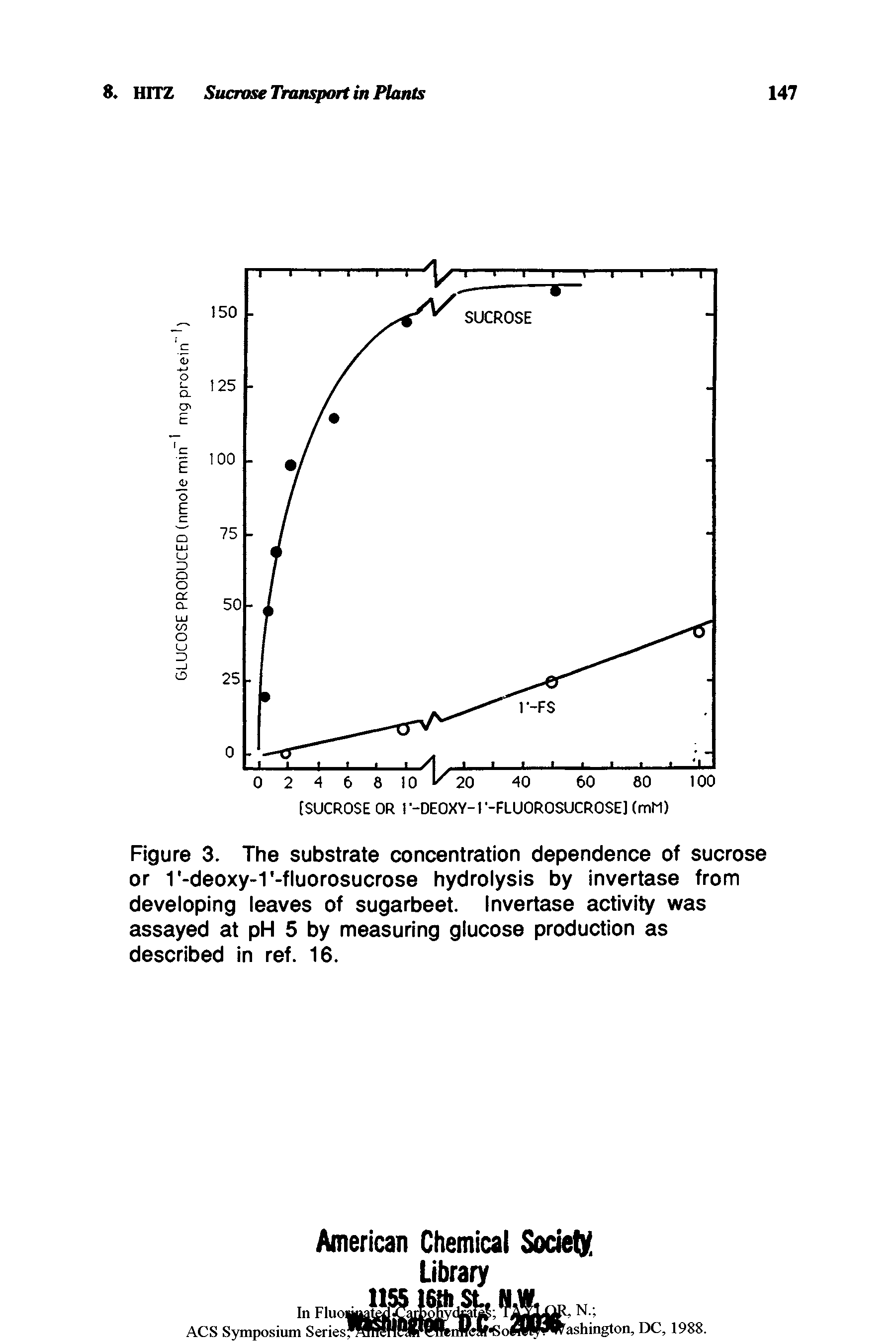 Figure 3. The substrate concentration dependence of sucrose or 1 -deoxy-1 -fluorosucrose hydrolysis by invertase from developing leaves of sugarbeet. Invertase activity was assayed at pH 5 by measuring glucose production as described in ref. 16.
