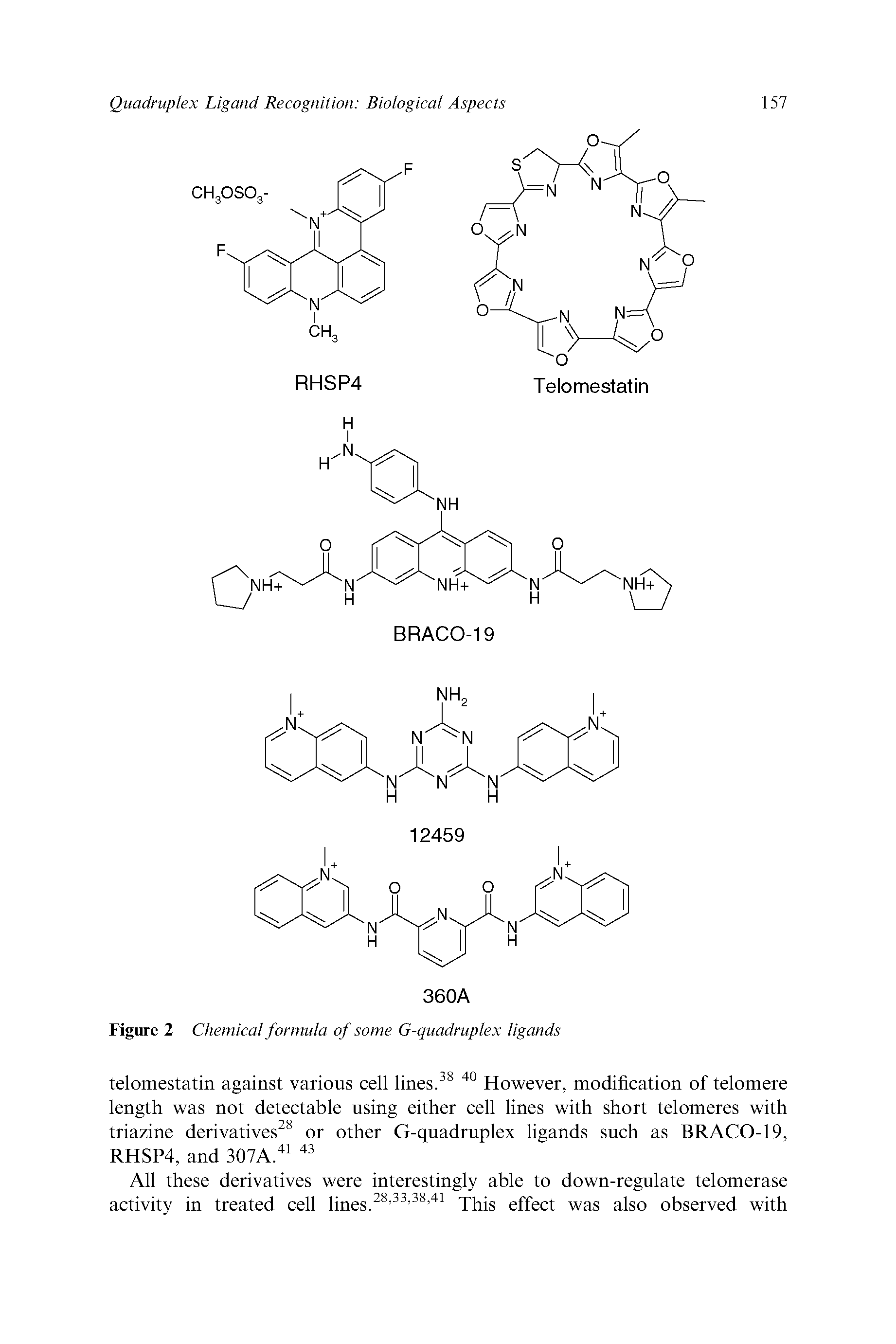 Figure 2 Chemical formula of some G-quadruplex ligands...