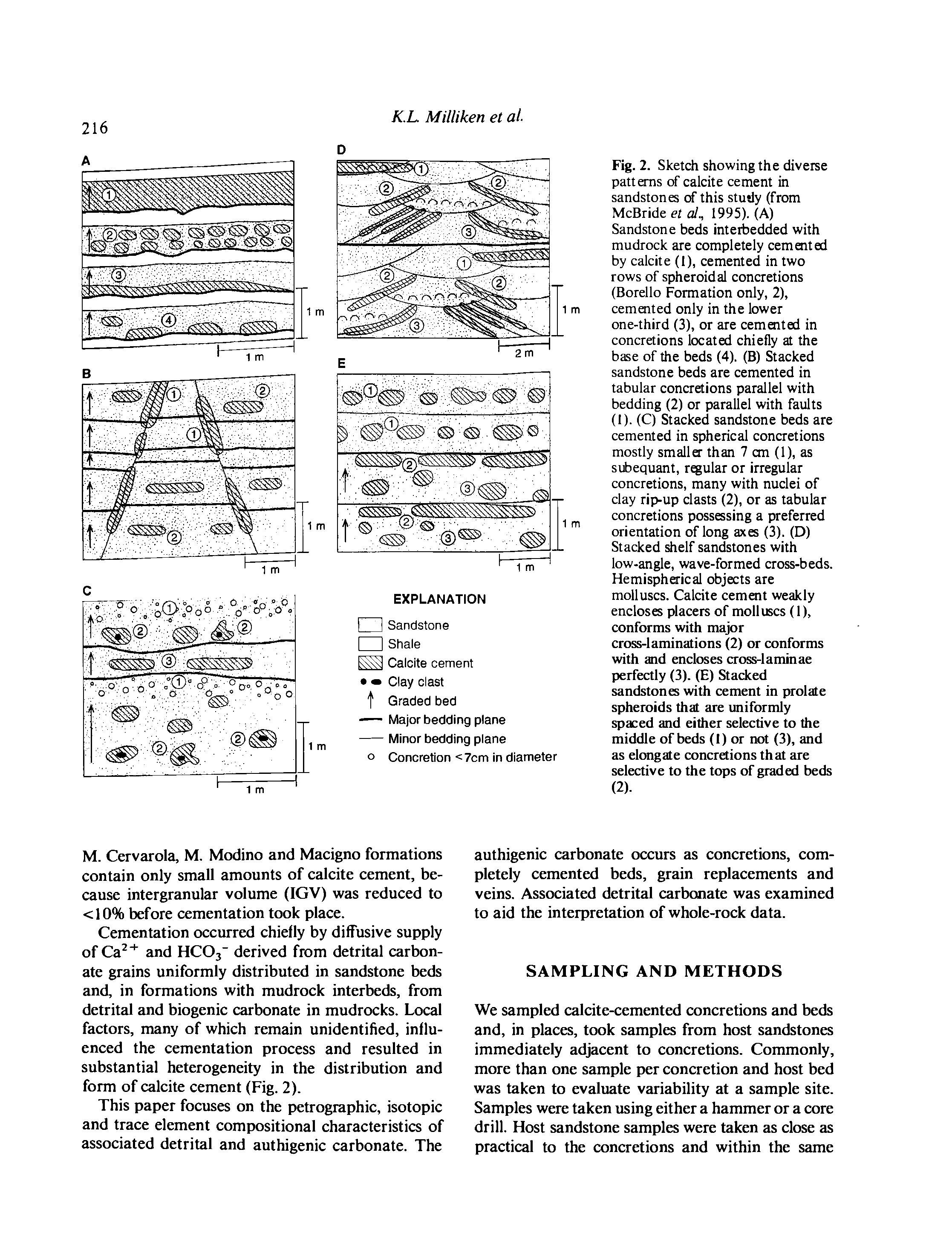 Fig. 2. Sketch showing the diverse patterns of calcite cement in sandstones of this study (from McBride el al., 1995). (A) Sandstone beds inteibedded with mudrock are completely cemented by calcite (1), cemented in two rows of spheroidal concretions (Borello Formation only, 2), cemented only in the lower one-third (3), or are cemented in concretions located chiefly at the base of the beds (4). (B) Stacked sandstone beds are cemented in tabular concretions parallel with bedding (2) or parallel with faults...