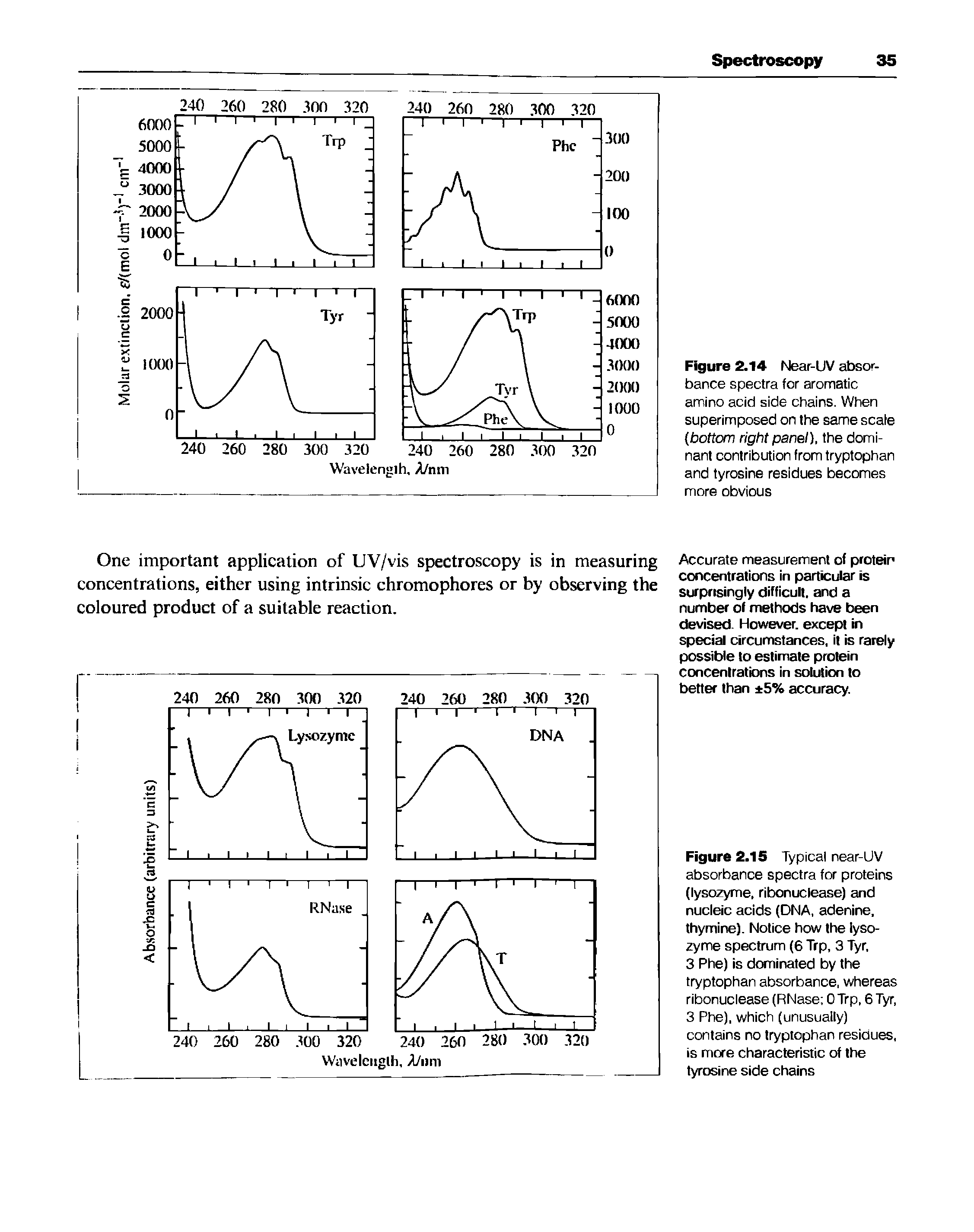 Figure 2.15 Typical near-UV absorbance spectra for proteins (lysozyme, ribonuclease) and nucleic acids (DNA, adenine, thymine). Notice how the lysozyme spectrum (6 Trp, 3 Tyr,...