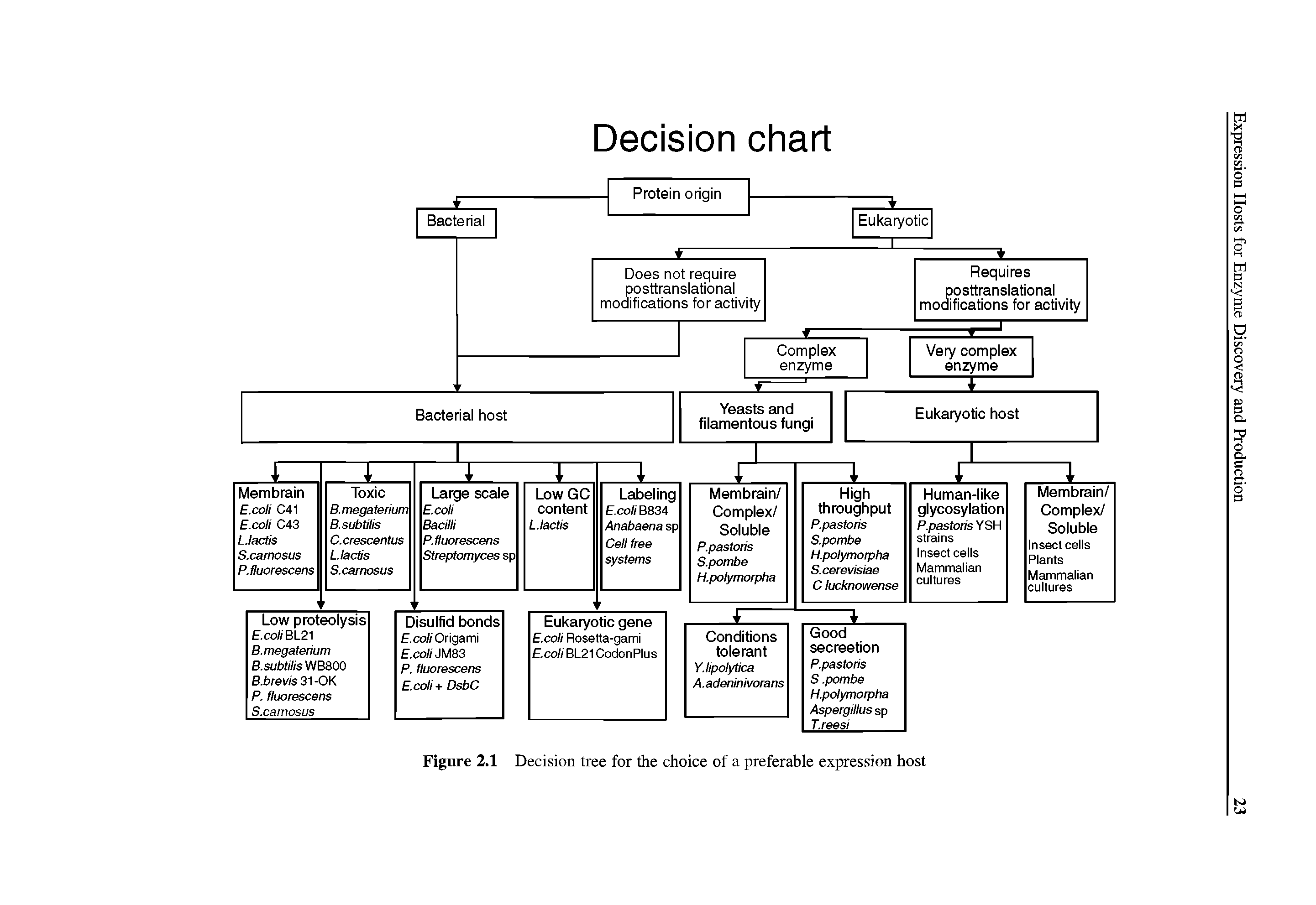 Figure 2.1 Decision tree for the choice of a preferable expression host...