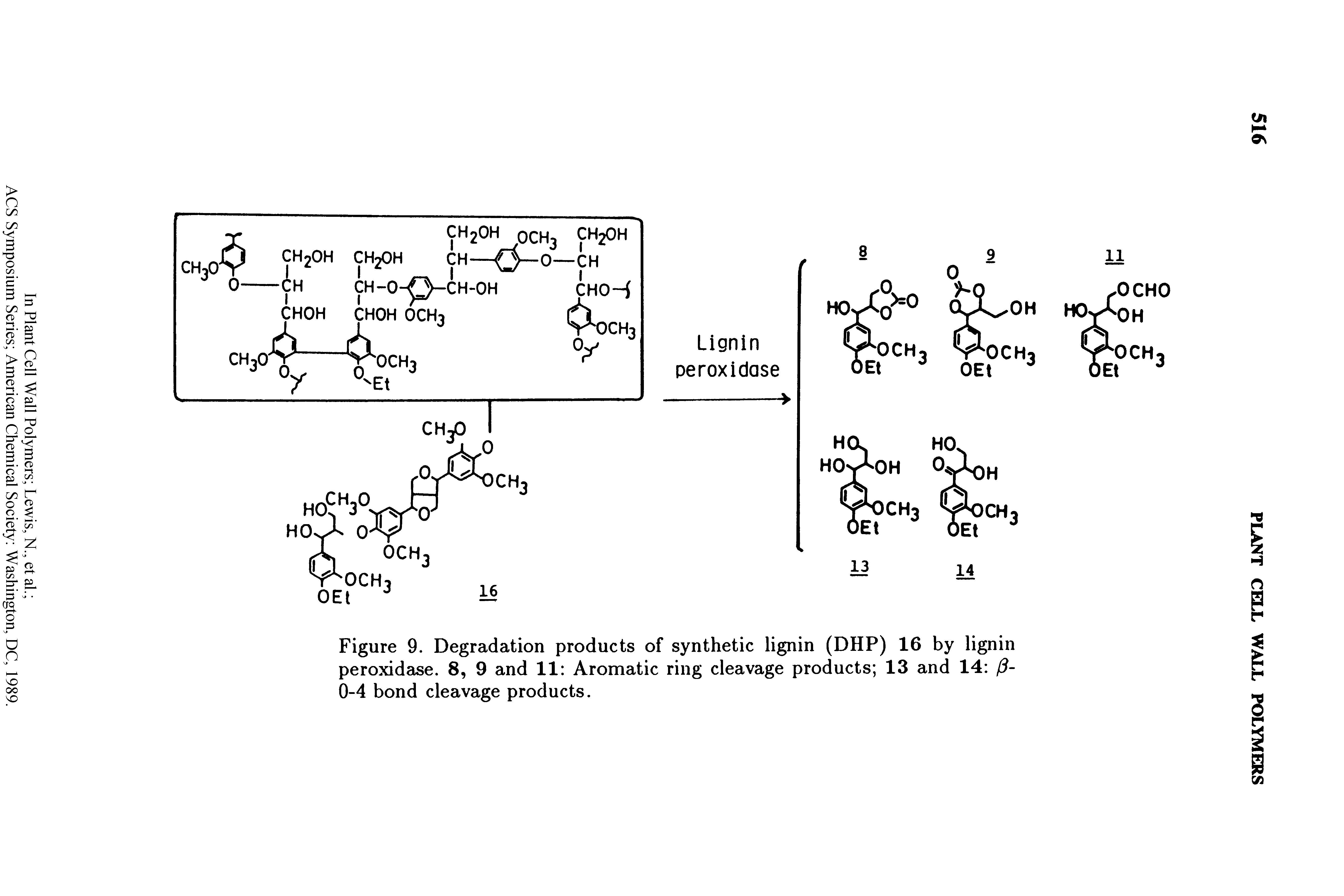 Figure 9. Degradation products of synthetic lignin (DHP) 16 by lignin peroxidase. 8, 9 and 11 Aromatic ring cleavage products 13 and 14 / -0-4 bond cleavage products.