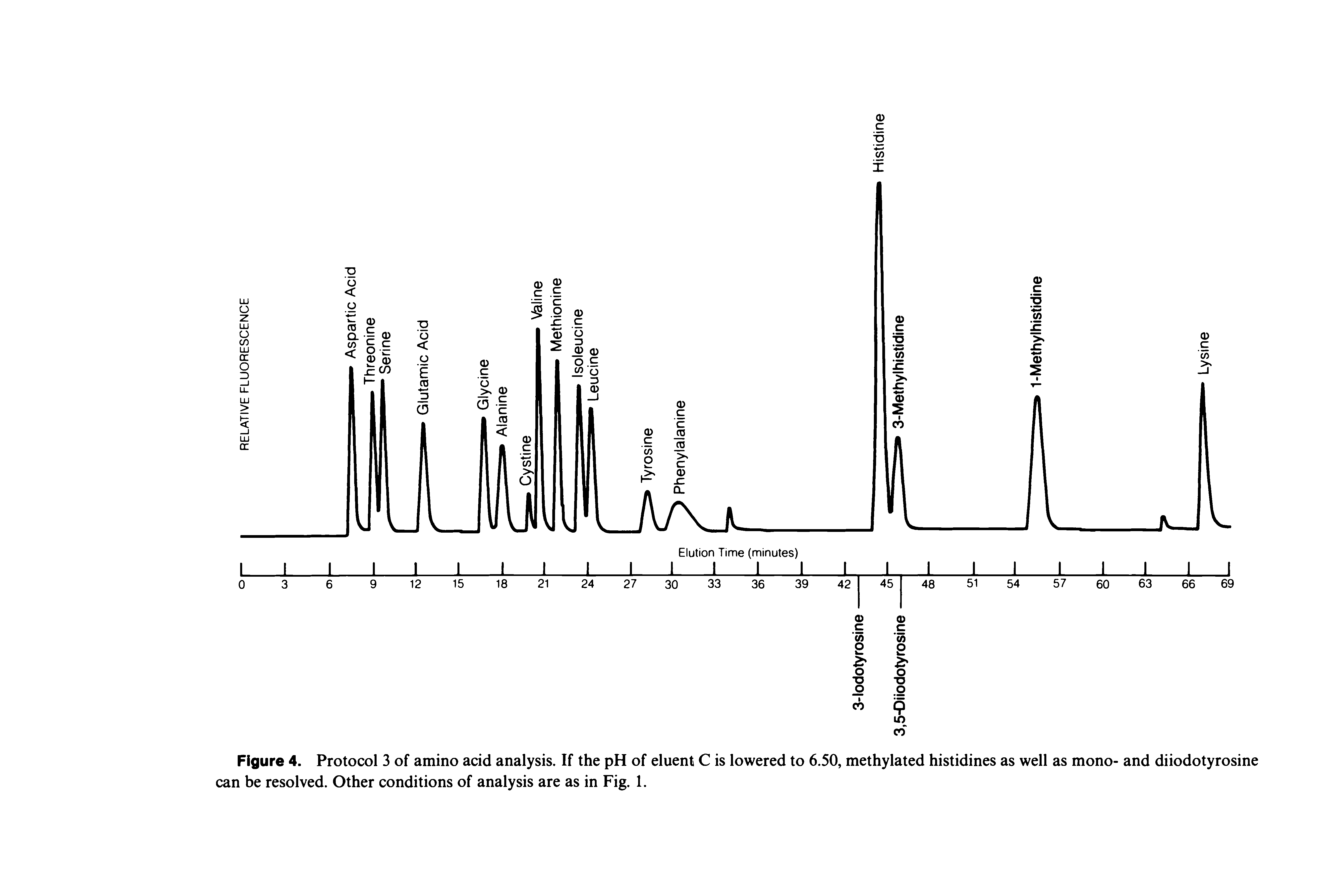 Figure 4. Protocol 3 of amino acid analysis. If the pH of eluent C is lowered to 6.50, methylated histidines as well as mono- and diiodotyrosine can be resolved. Other conditions of analysis are as in Fig. 1.