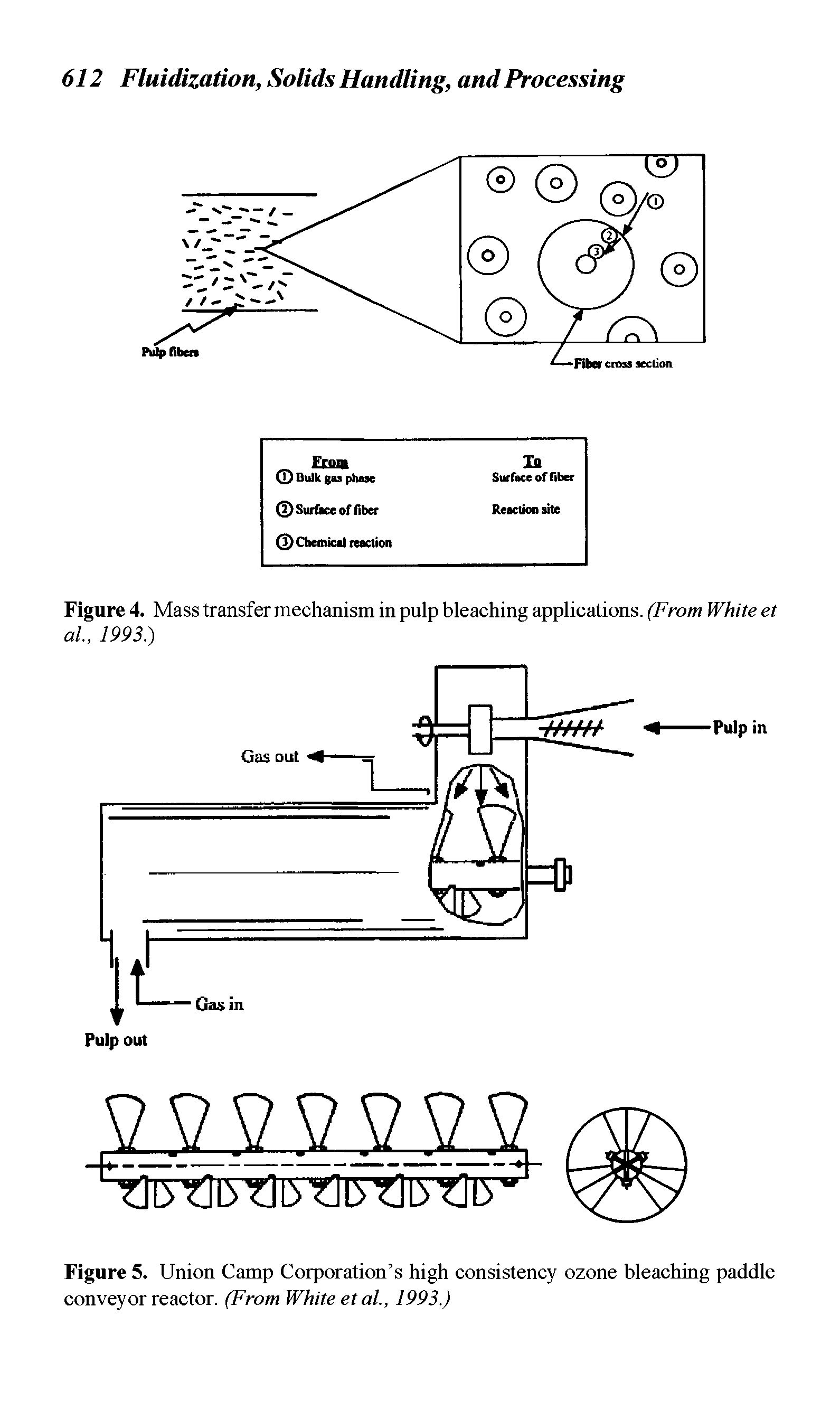 Figure 5. Union Camp Corporation s high consistency ozone bleaching paddle conveyor reactor. (From White et al., 1993.)...