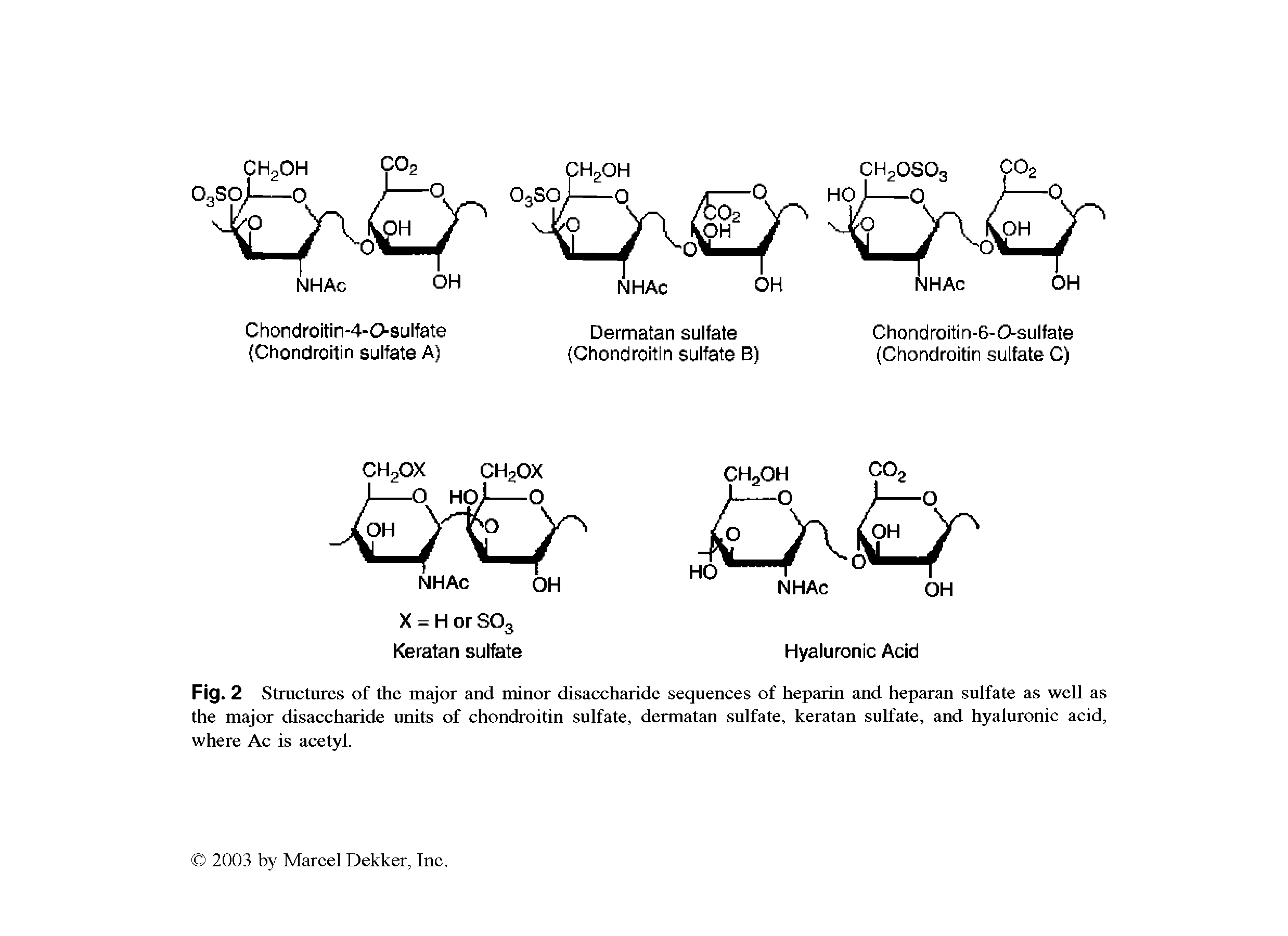Fig. 2 Structures of the major and minor disaccharide sequences of heparin and heparan sulfate as well as the major disaccharide units of chondroitin sulfate, dermatan sulfate, keratan sulfate, and hyaluronic acid, where Ac is acetyl.