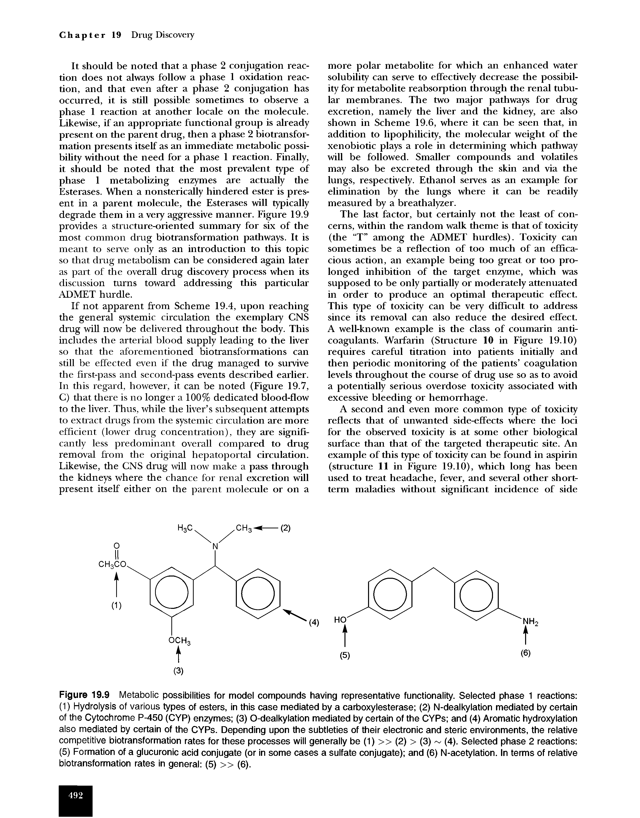 Figure 19.9 Metabolic possibilities for model compounds having representative functionality. Selected phase 1 reactions (1) Hydrolysis of various types of esters, in this case mediated by a carboxylesterase (2) N-dealkylation mediated by certain of the Cytochrome P-450 (CYP) enzymes (3) O-dealkylation mediated by certain of the CYPs and (4) Aromatic hydroxylation also mediated by certain of the CYPs. Depending upon the subtleties of their electronic and steric environments, the relative competitive biotransformation rates for these processes will generally be (1) (2) > (3) (4). Selected phase 2 reactions (5) Formation of a glucuronic acid conjugate (or in some cases a sulfate conjugate) and (6) N-acetylation. In terms of relative biotransformation rates in general (5) >> (6).