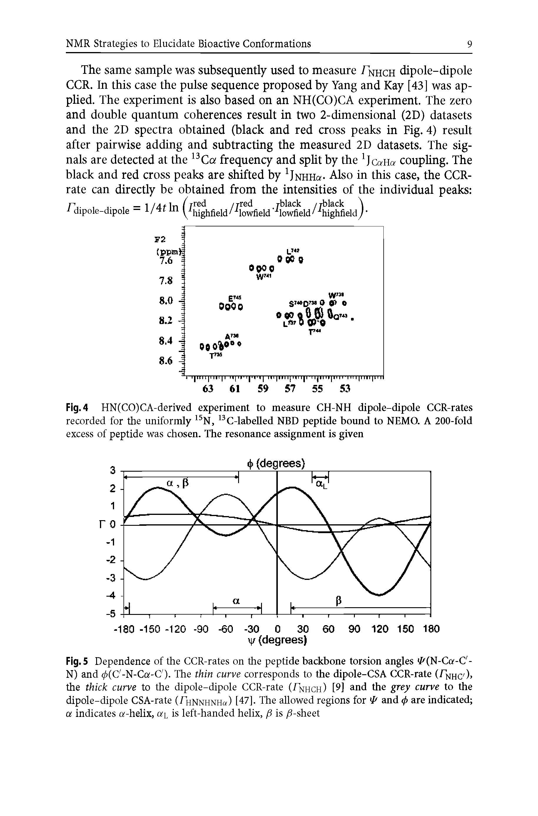 Fig. 5 Dependence of the CCR-rates on the peptide backbone torsion angles //(N-Ca-C -N) and 0(C -N-Ca-C ). The thin curve corresponds to the dipole-CSA CCR-rate (/nhc )> the thick curve to the dipole-dipole CCR-rate (Fnhch) [9] and the grey curve to the dipole-dipole CSA-rate (Thnnhnhq ) [47]. The allowed regions for and (j> are indicated a indicates a-helix, ar is left-handed helix, f) is /3-sheet...