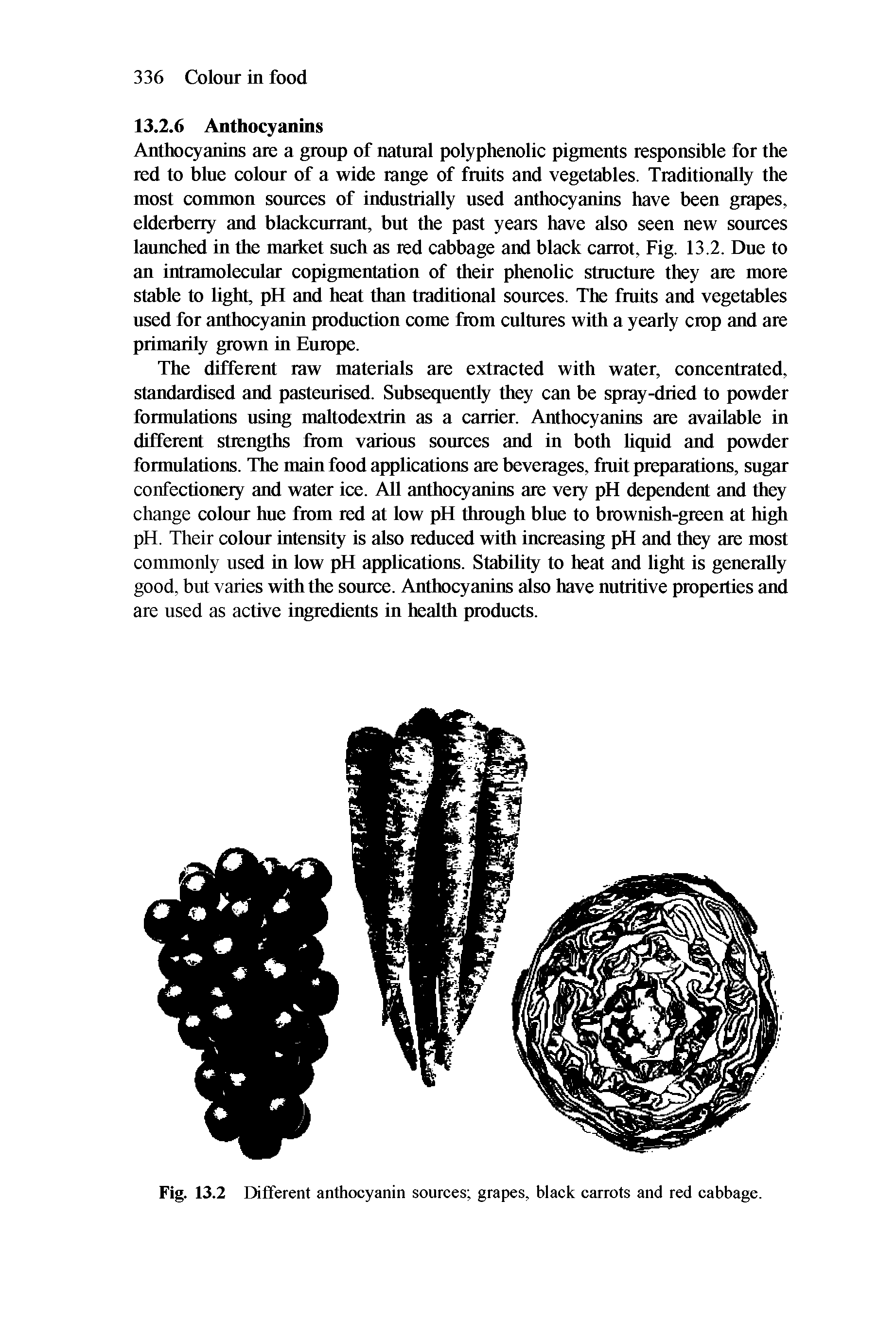 Fig. 13.2 Different anthocyanin sources grapes, black carrots and red cabbage.