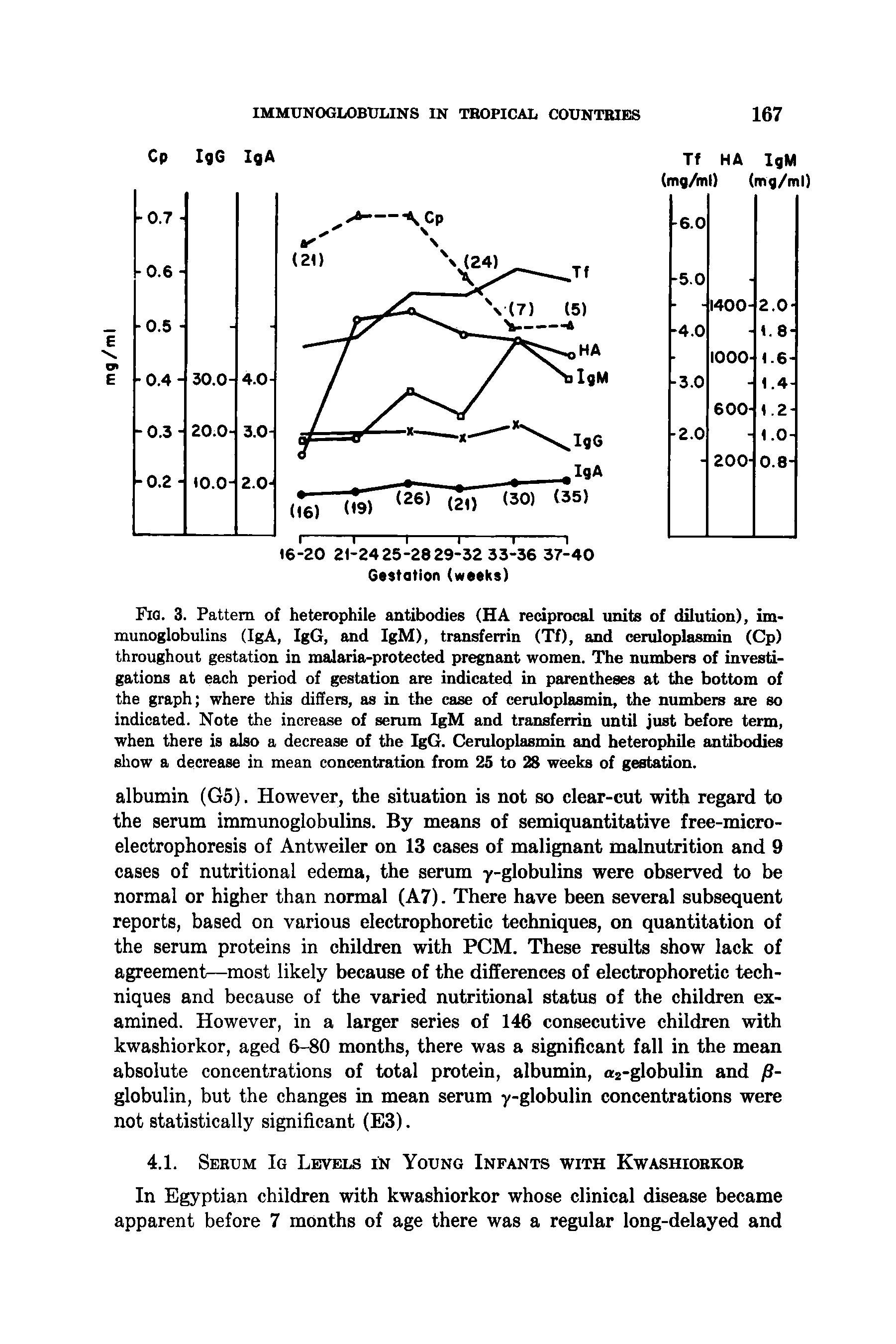 Fig. 3. Pattern of heterophile antibodies (HA reciprocal units of dilution), immunoglobulins (IgA, IgG, and IgM), transferrin (Tf), and ceruloplasmin (Cp) throughout gestation in malaria-protected pregnant women. The numbers of investigations at each period of gestation are indicated in parentheses at the bottom of the graph where this differs, as in the case of ceruloplasmin, the numbers are so indicated. Note the increase of serum IgM and transferrin until just before term, when there is also a decrease of the IgG. Ceruloplasmin and heterophile antibodies show a decrease in mean concentration from 25 to 28 weeks of gestation.