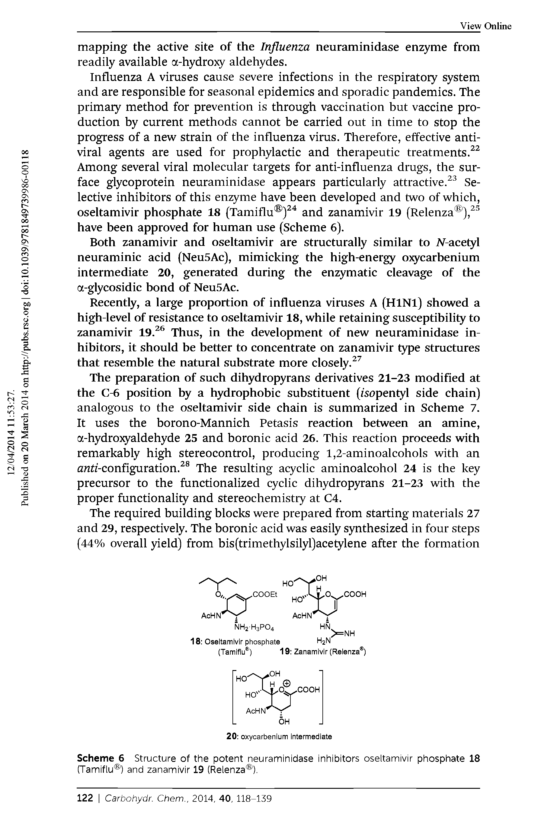 Scheme 6 Structure of the potent neuraminidase inhibitors oseltamivir phosphate 18 (Tamiflu ) and zanamivir 19 (Relenza ).