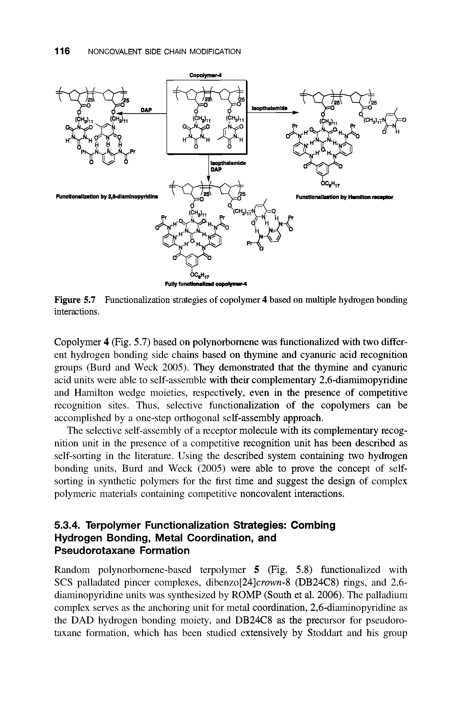 Figure 5.7 Functionalization strategies of copol3Tner 4 based on multiple hydrogen bonding interactions.