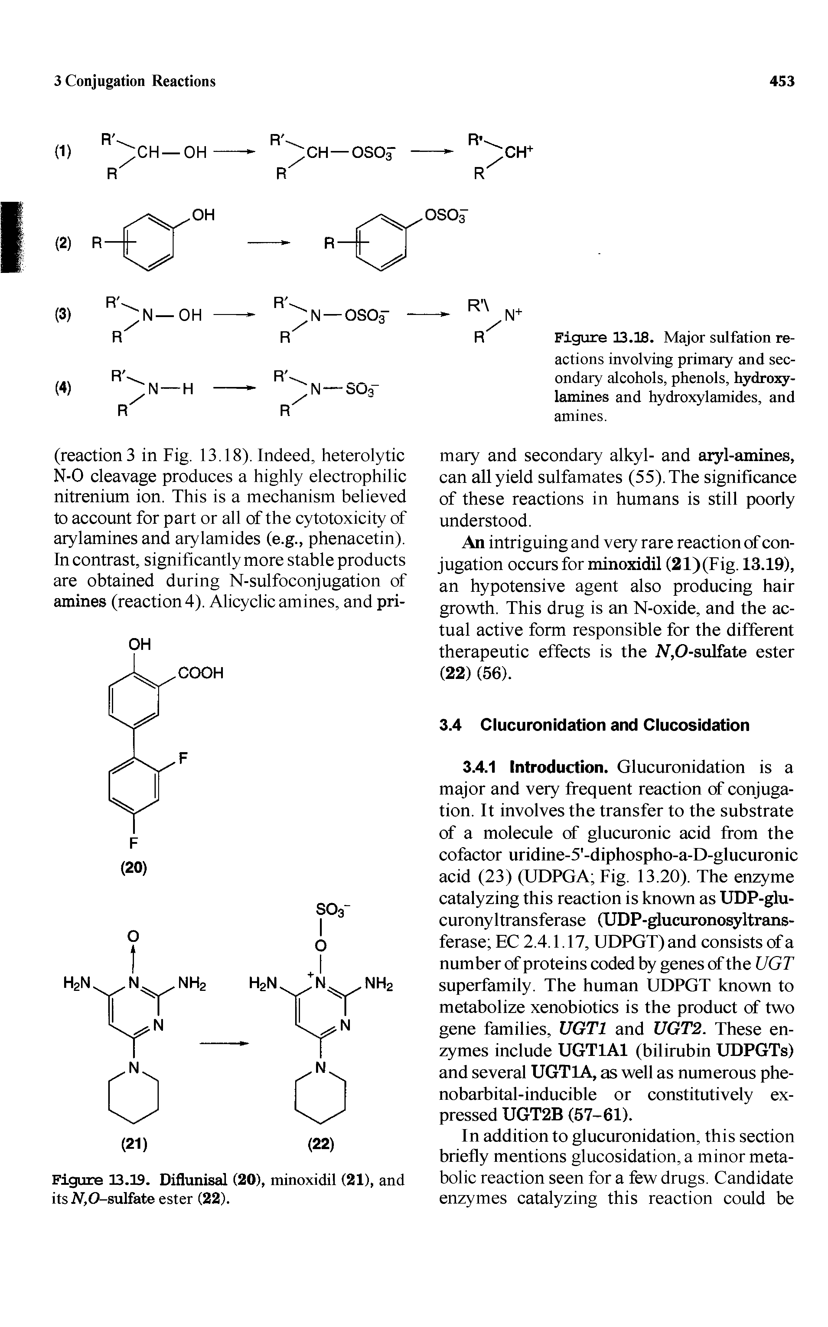 Figure 13.IS. Major sulfation reactions involving primary and secondary alcohols, phenols, hydroxy-lamines and hydroxylamides, and amines.