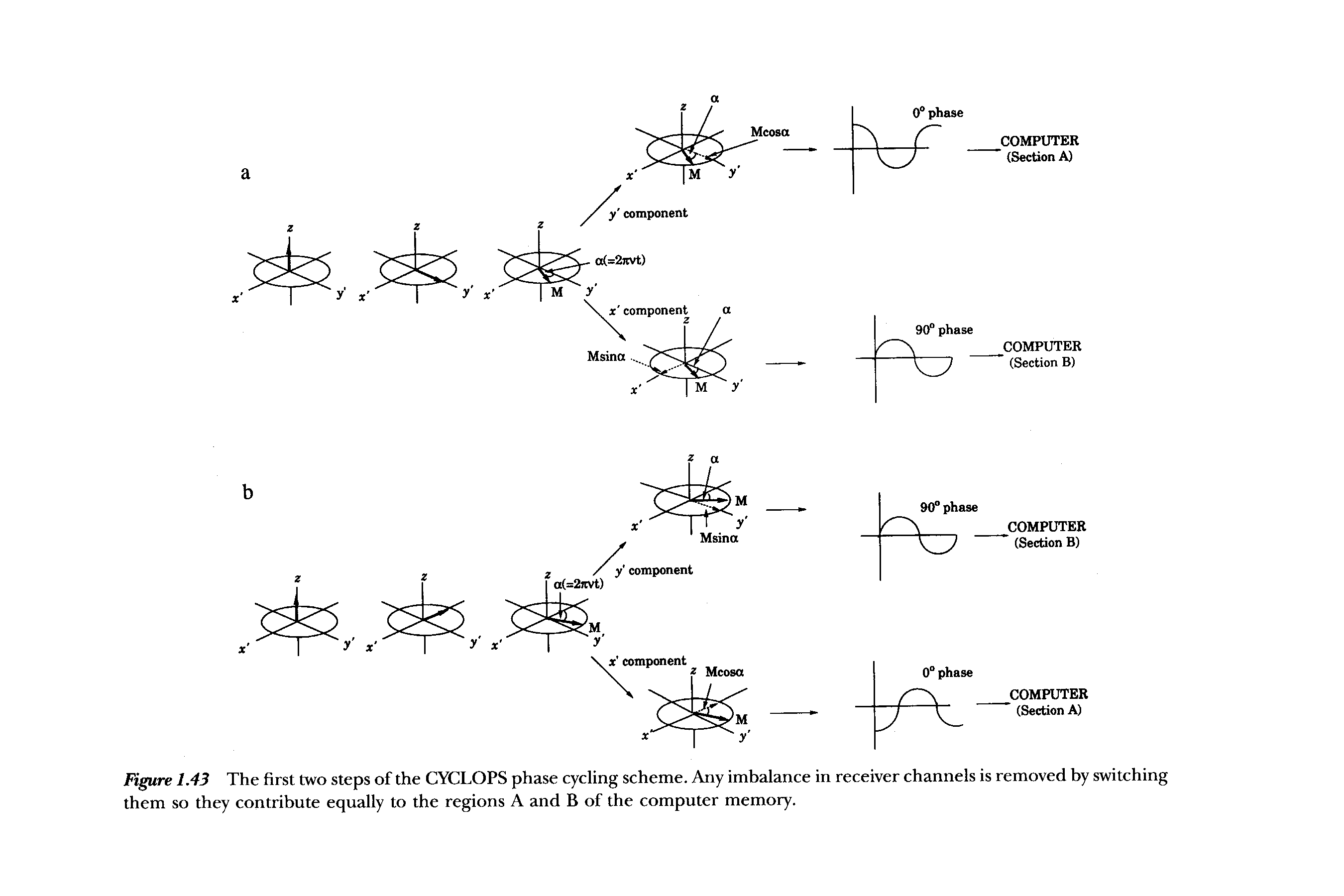 Figure 1.43 The first two steps of the CYCLOPS phase cycling scheme. Any imbalance in receiver channels is removed by switching them so they contribute equally to the regions A and B of the computer memory.