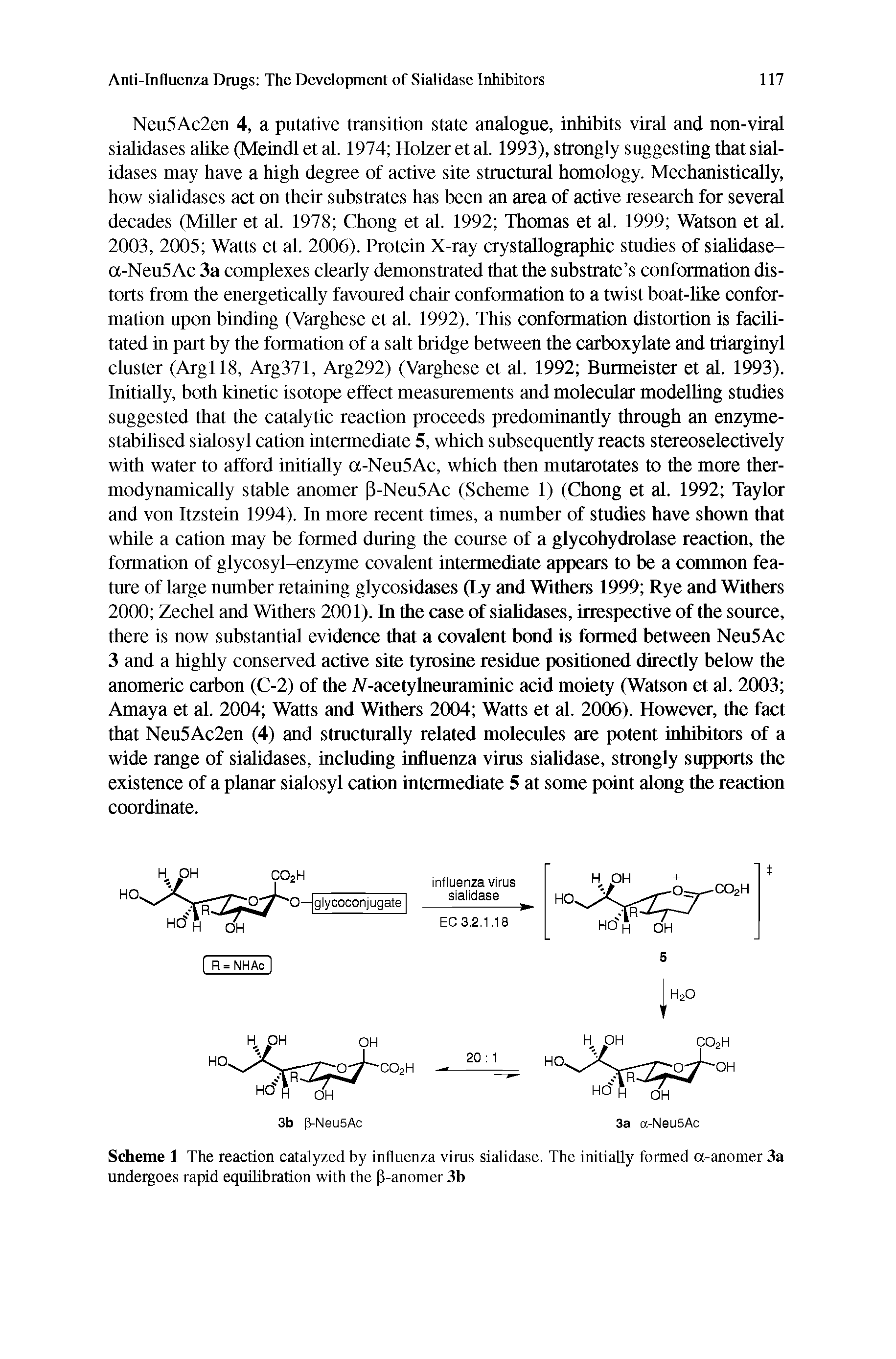 Scheme 1 The reaction catalyzed by influenza viras sialidase. The initially formed a-anomer 3a undergoes rapid equilibration with the 3-anomer 3b...