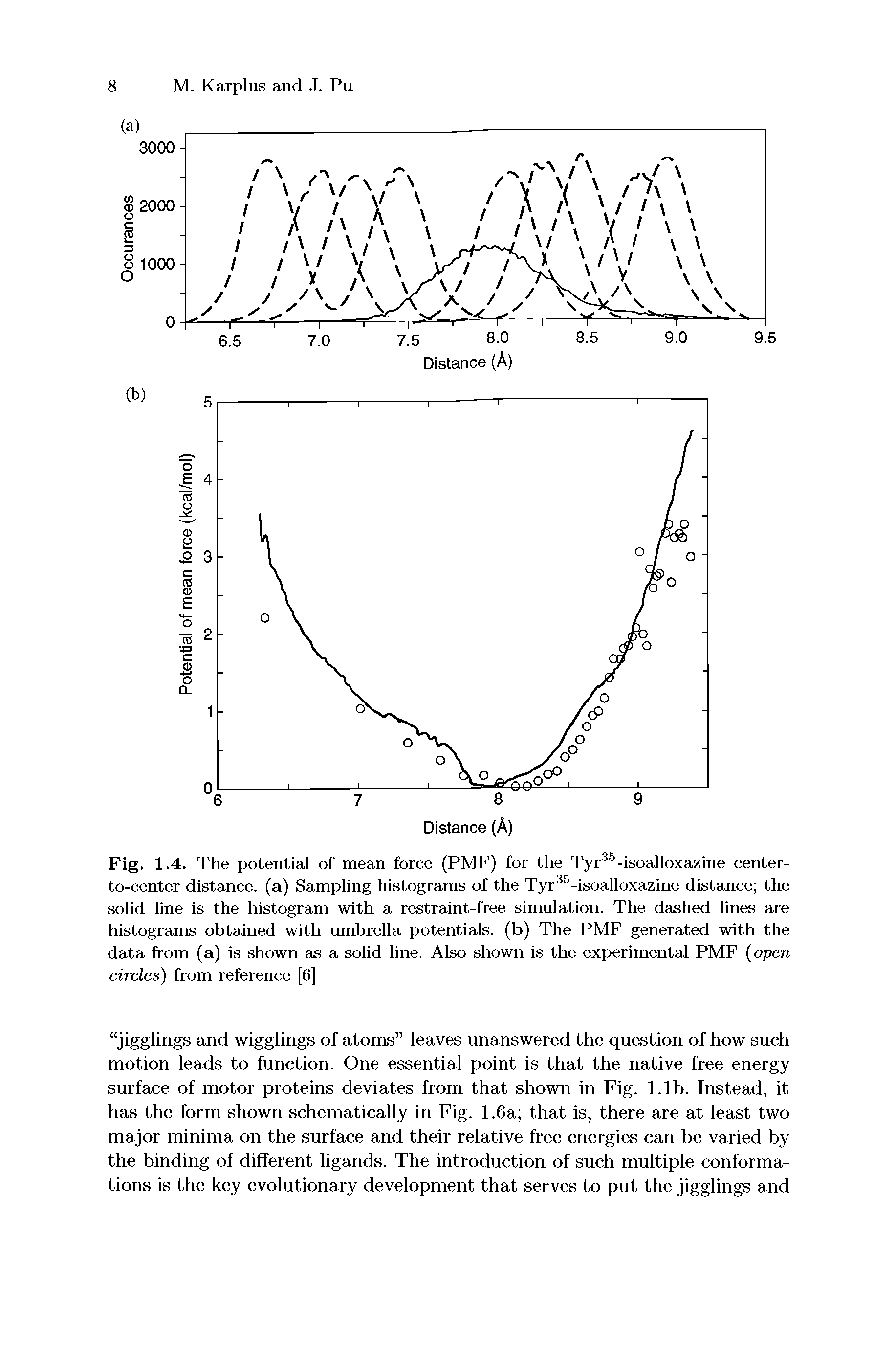 Fig. 1.4. The potential of mean force (PMF) for the Tyr -isoalloxazine center-to-center distance, (a) Sampling histograms of the Tyr -isoalloxazine distance the solid line is the histogram with a restraint-free simulation. The dashed hues are histograms obtained with umbrella potentials, (b) The PMF generated with the data from (a) is shown as a solid line. Also shown is the experimental PMF open circles) from reference [6]...