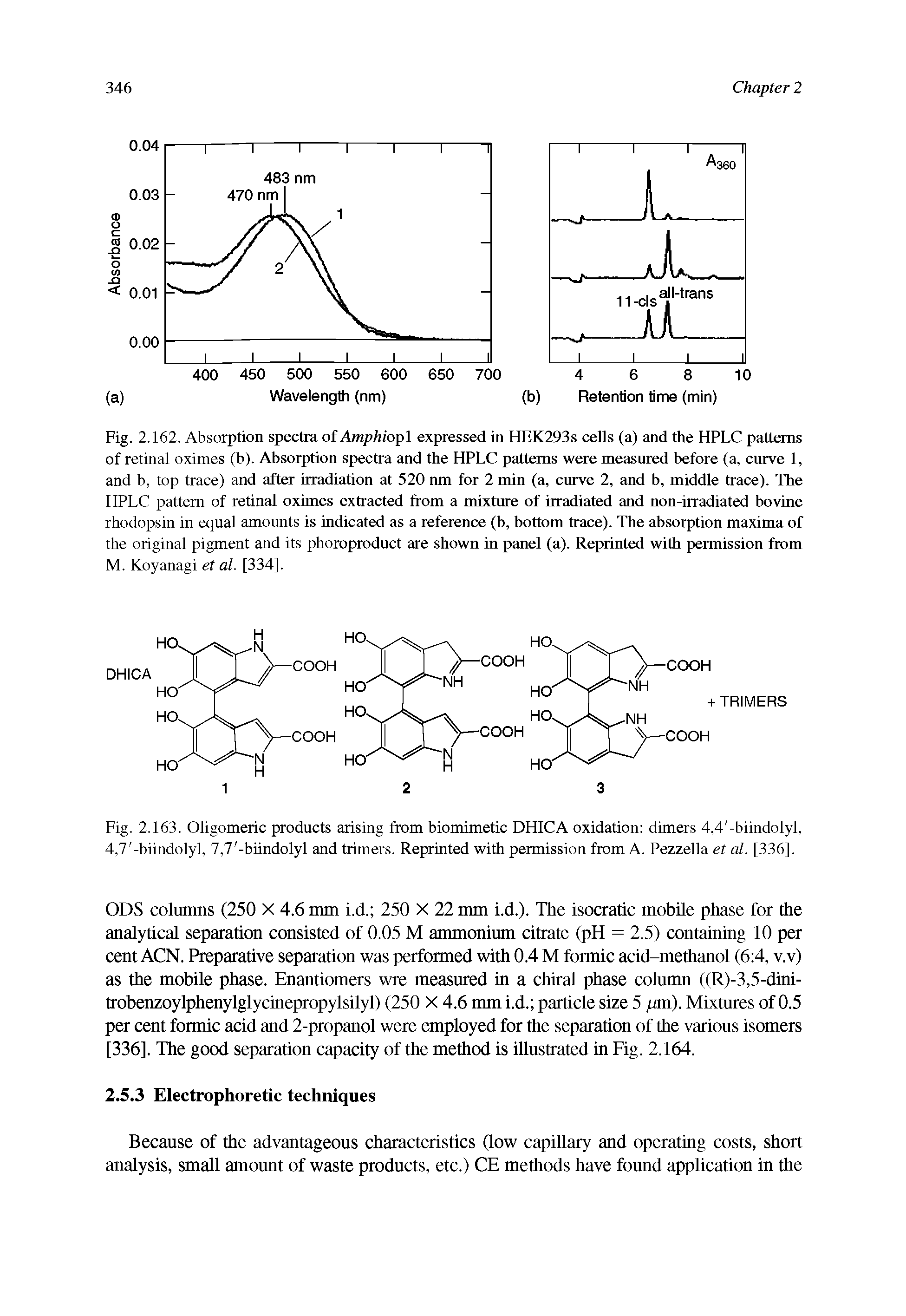 Fig. 2.163. Oligomeric products arising from biomimetic DHICA oxidation dimers 4,4 -biindolyl, 4,7 -biindolyl, 7,7 -biindolyl and trimers. Reprinted with permission from A. Pezzella et al. [336].