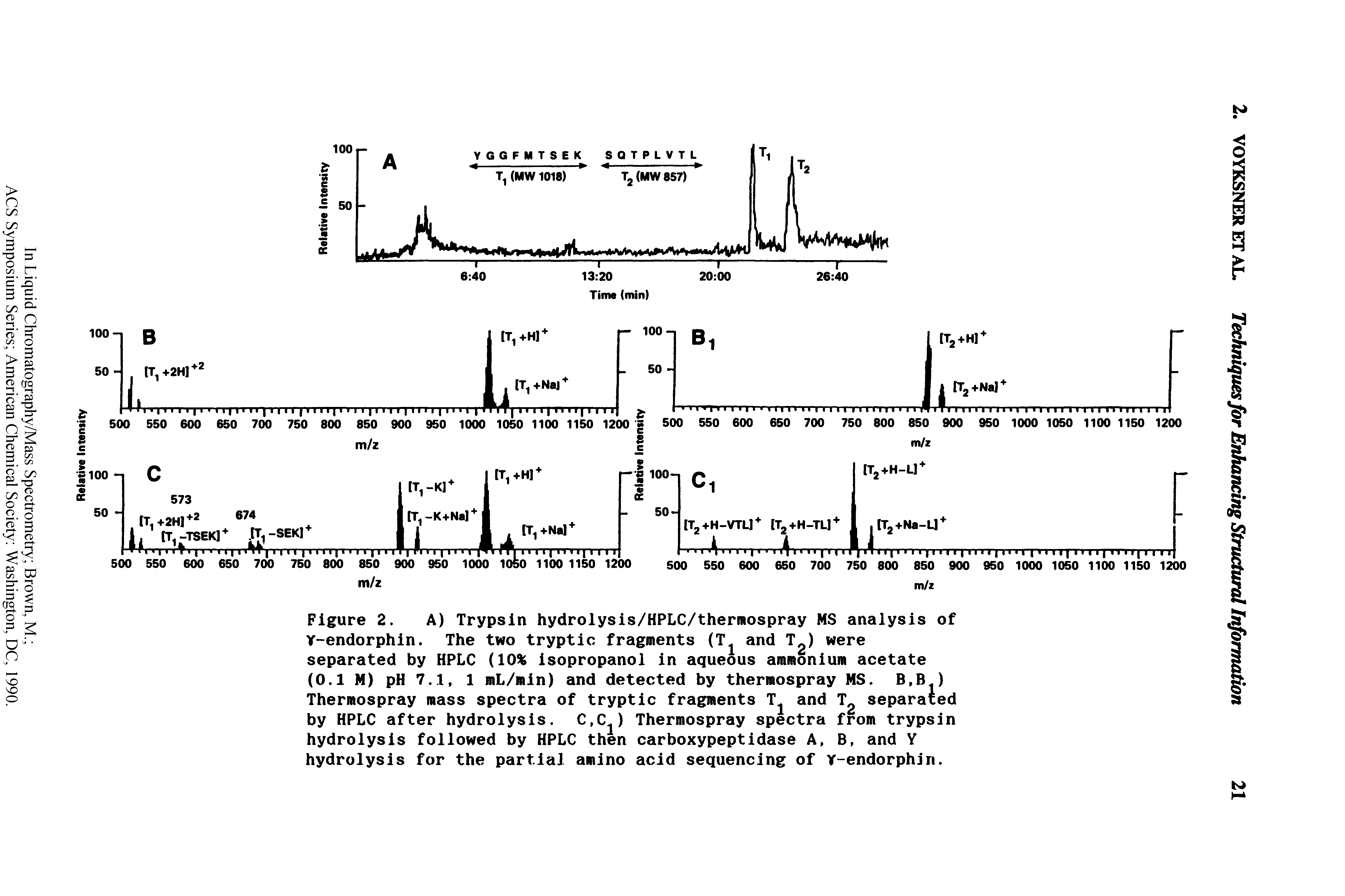 Figure 2. A) Trypsin hydrolysis/HPLC/thermospray MS analysis of Y-endorphin. The two tryptic fragments (T1 and T ) were separated by HPLC (10% isopropanol in aqueous ammonium acetate (0.1 M) pH 7.1, 1 mL/min) and detected by thermospray MS. B,B ) Thermospray mass spectra of tryptic fragments and Tg separated by HPLC after hydrolysis. C,Cj) Thermospray spectra from trypsin hydrolysis followed by HPLC then carboxypeptidase A, B, and Y hydrolysis for the partial amino acid sequencing of Y-endorphin.