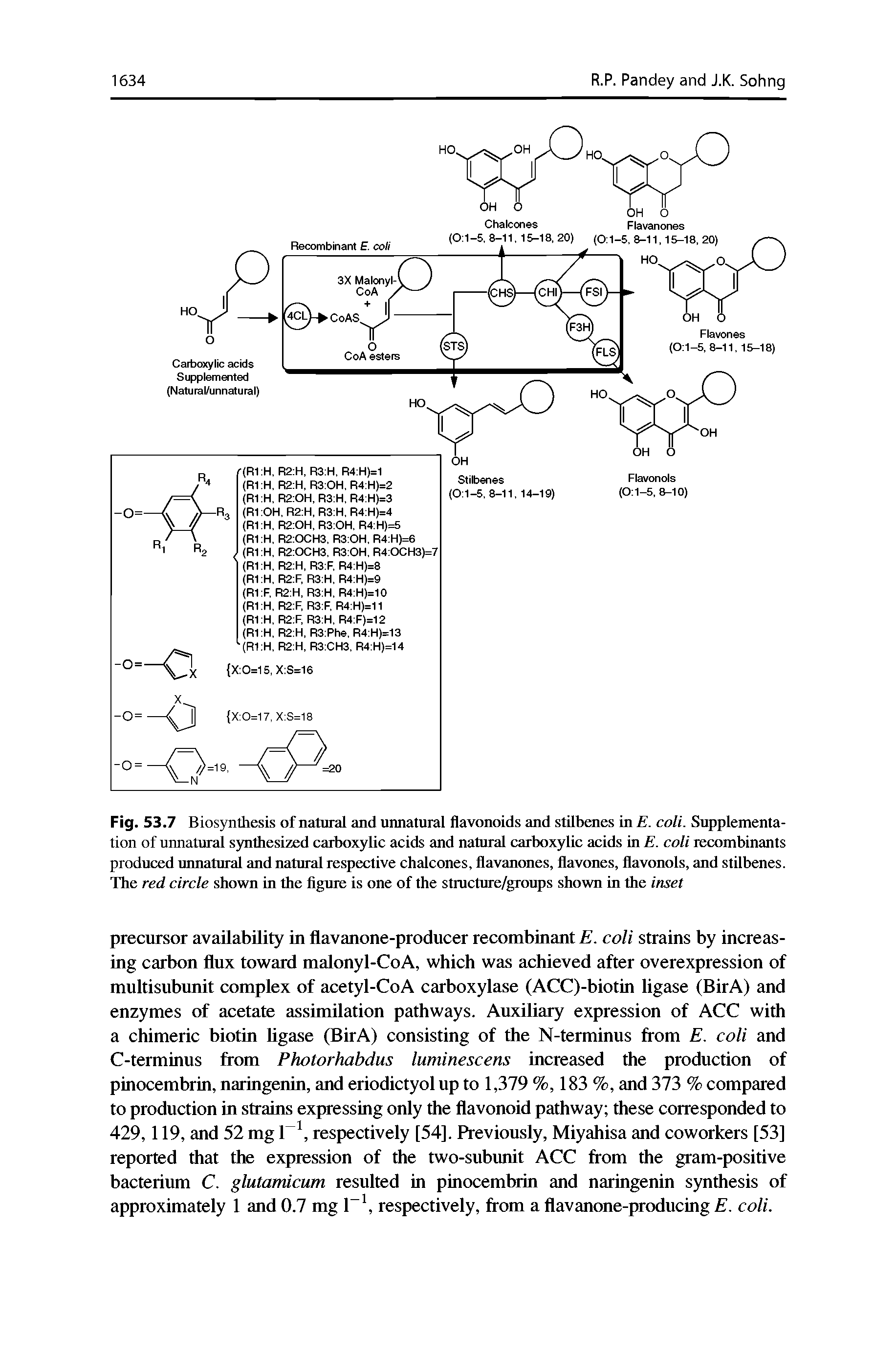 Fig. 53.7 Biosynthesis of natural and unnatural flavonoids and stillxaies in E. coli. Supplementation of unnatural synthesized carboxylic acids and natural carboxylic acids in E. coli recombinants produced unnatural and natural respective chalcones, flavanones, flavones, flavonols, and stilbenes. The red circle shown in the figure is one of the structure/groups shown in the inset...