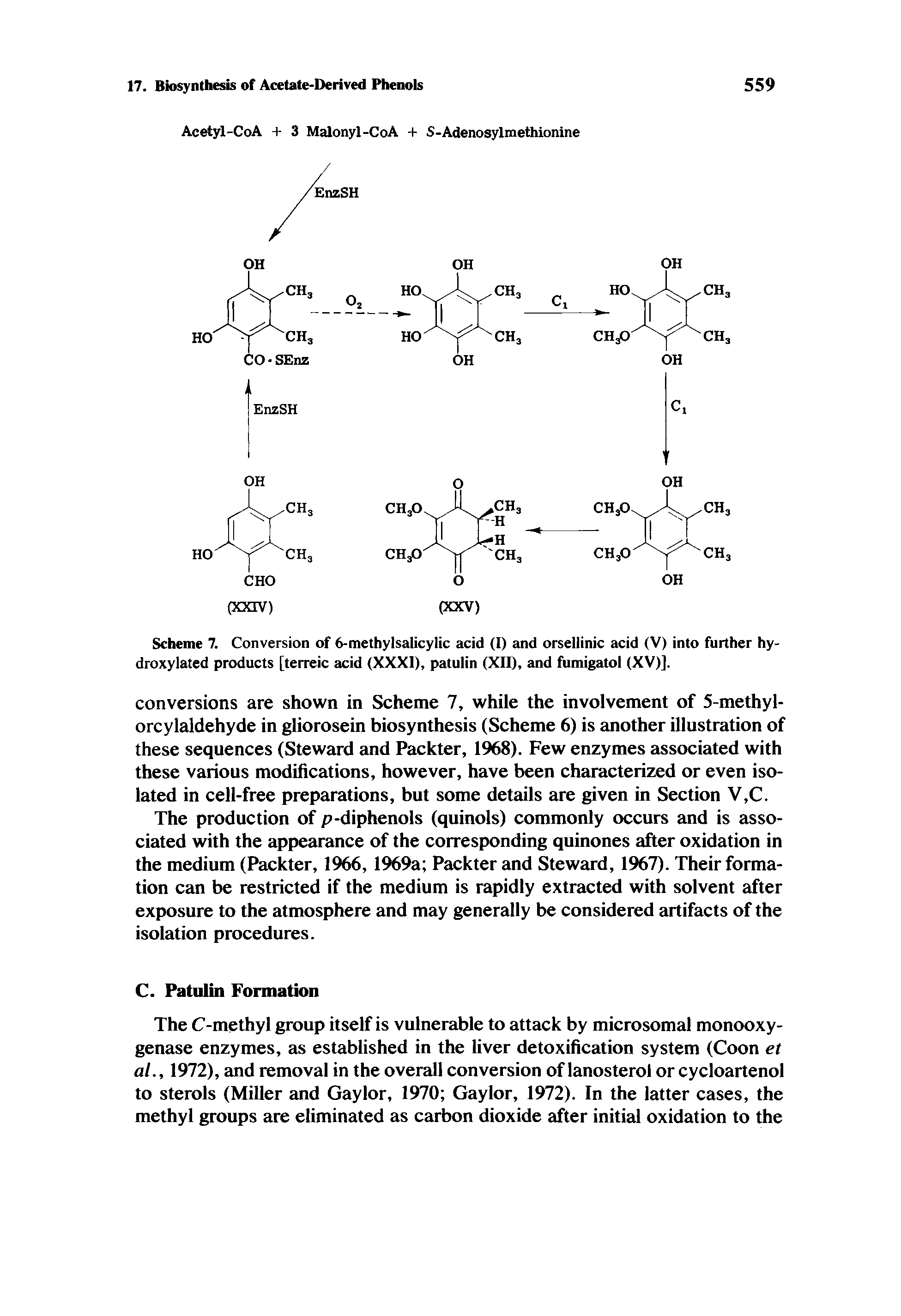 Scheme 7. Conversion of 6-methylsalicylic acid (I) and orsellinic acid (V) into further hy-droxylated products [terreic acid (XXXI), patulin (XII), and fumigatol (XV)].