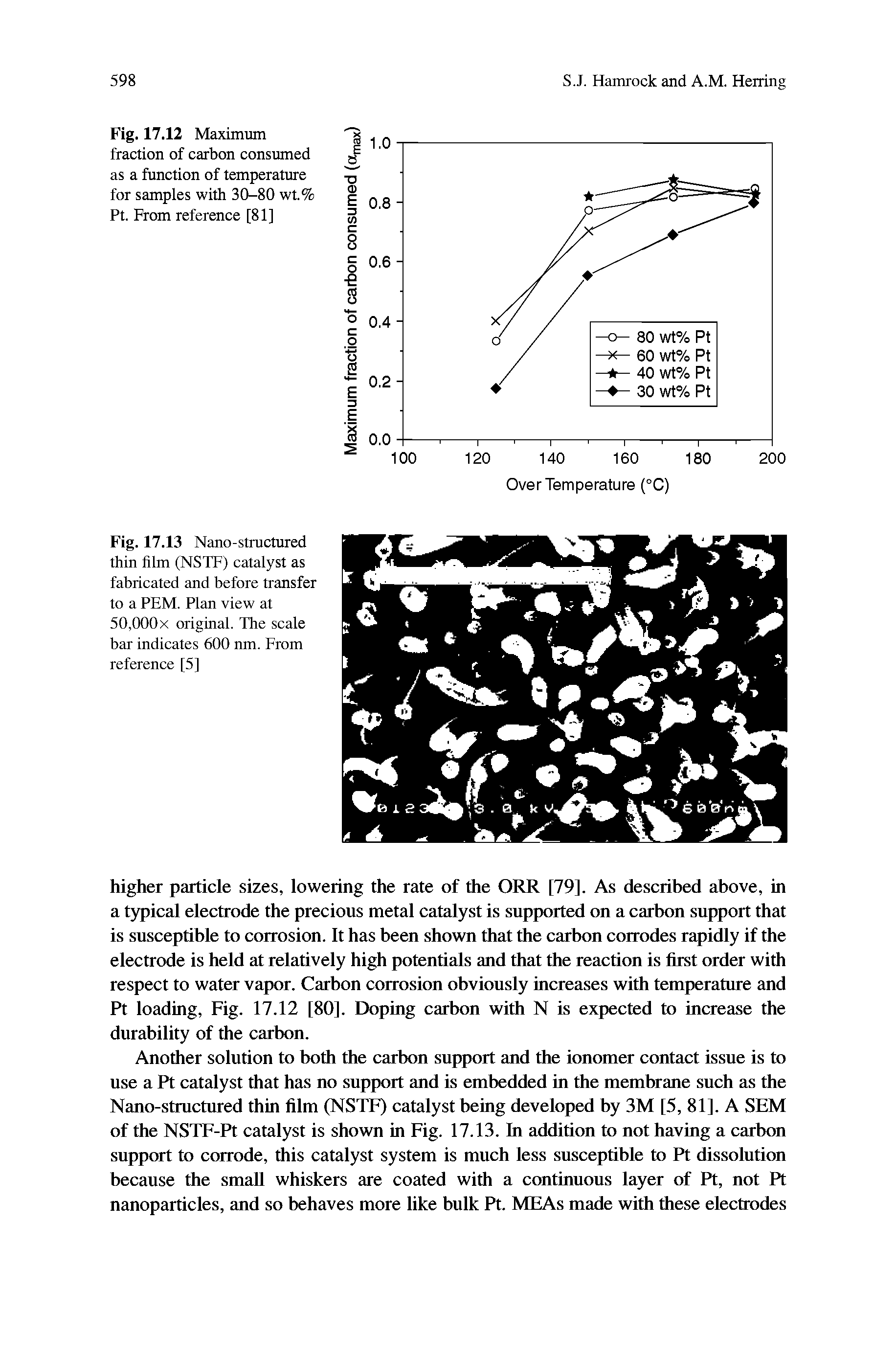 Fig. 17.13 Nano-structured thin film (NSTF) catalyst as fabricated and before transfer to a PEM. Plan view at 50,000x original. The scale bar indicates 600 nm. From reference [5]...