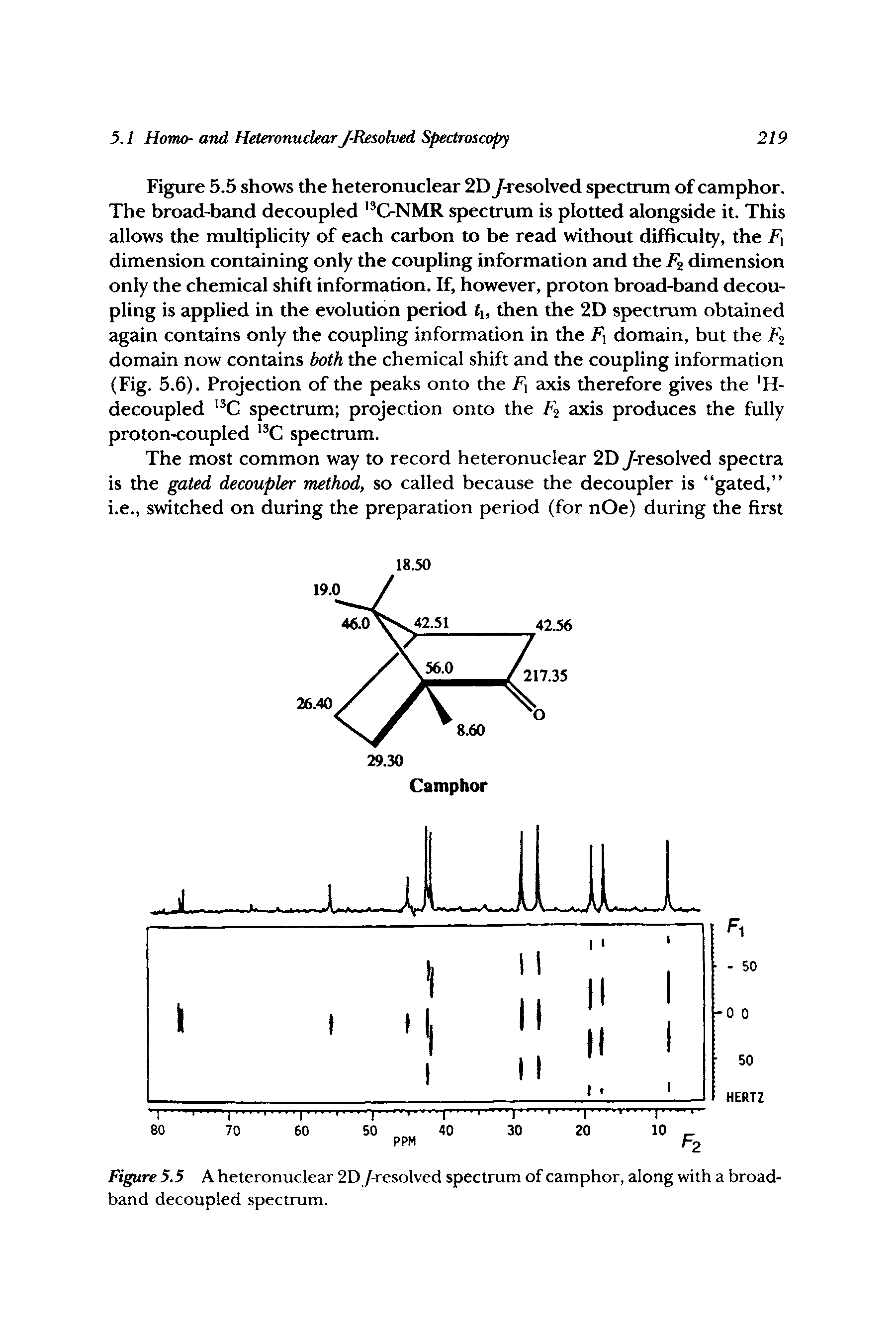Figure 5.5 A heteronuclear 2D /-resolved spectrum of camphor, along with a broadband decoupled spectrum.