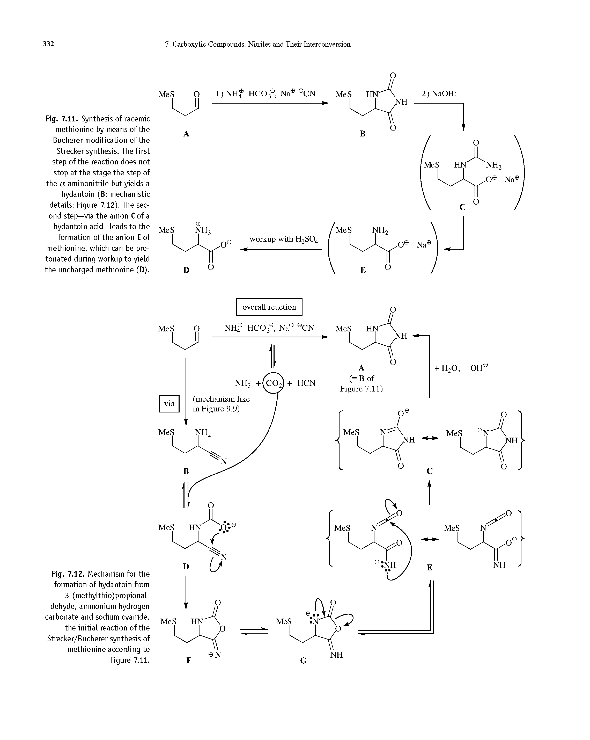 Fig. 7.11. Synthesis of racemic methionine by means of the Bucherer modification of the Strecker synthesis. The first step of the reaction does not stop at the stage the step of the a-aminonitrile but yields a hydantoin (B mechanistic details Figure 7.12). The second step—via the anion C of a hydantoin acid—leads to the formation of the anion E of methionine, which can be pro-tonated during workup to yield the uncharged methionine (D).