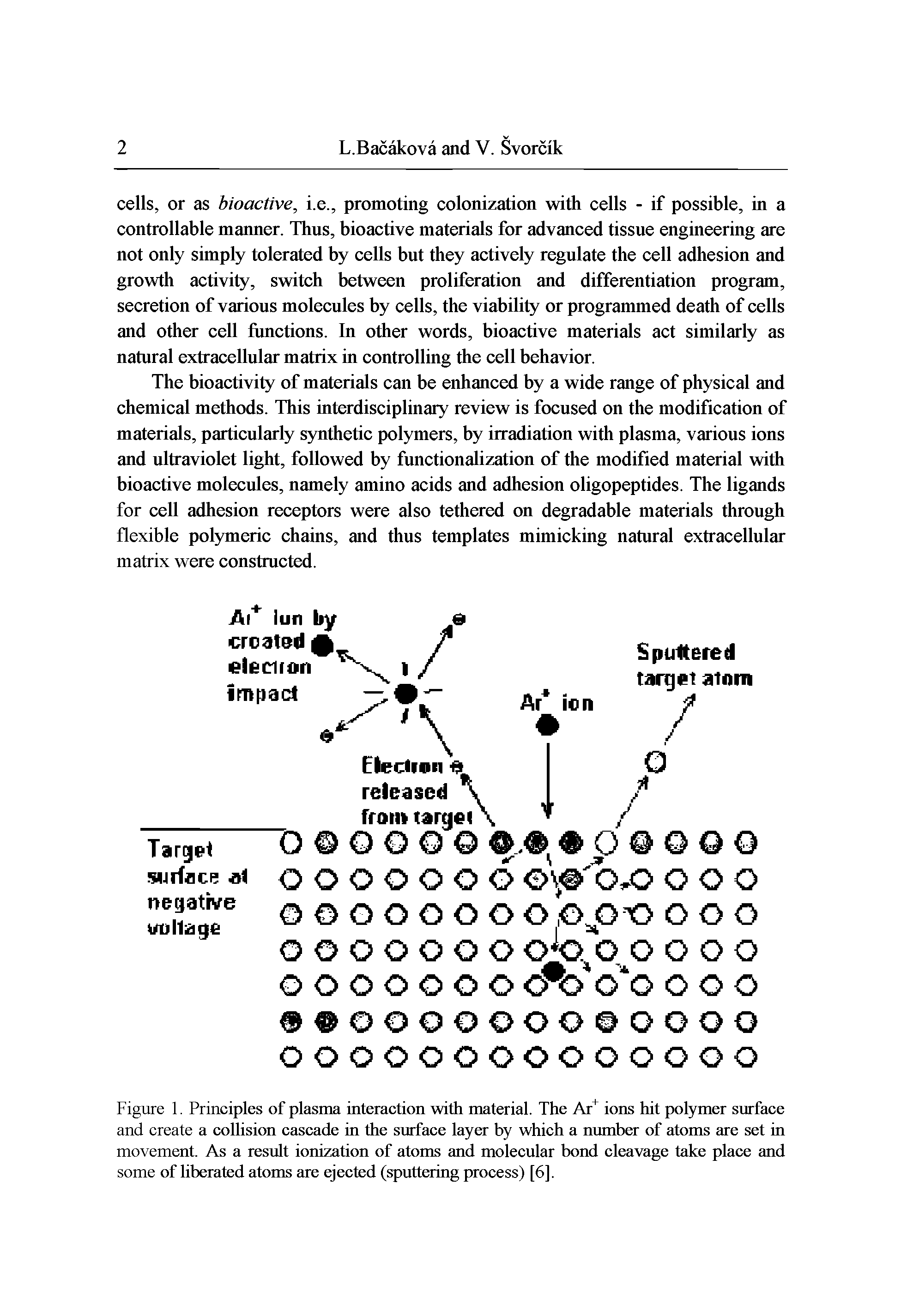 Figure 1. Principles of plasma interaction with material. The Ar ions hit polymer surface and create a collision cascade in the surface layer by which a number of atoms are set in movement. As a result ionization of atoms and molecular bond cleavage take place and some of liberated atoms are ejected (sputtering process) [6].