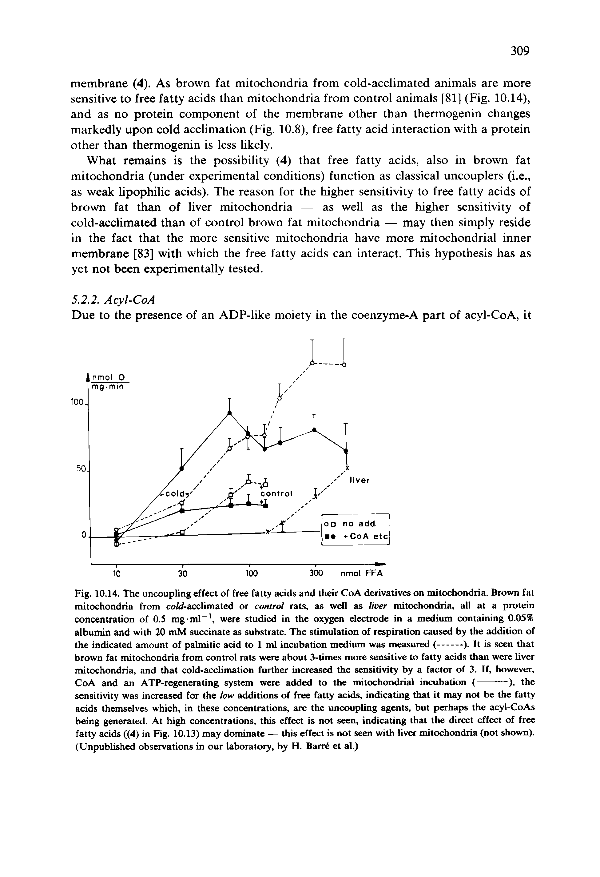 Fig. 10.14. The uncoupling effect of free fatty acids and their CoA derivatives on mitochondria. Brown fat mitochondria from co/4-accIimated or control rats, as well as Hver mitochondria, all at a protein concentration of 0.5 mg ml , were studied in the oxygen electrode in a medium containing 0.05% albumin and with 20 mM succinate as substrate. The stimulation of respiration caused by the addition of...