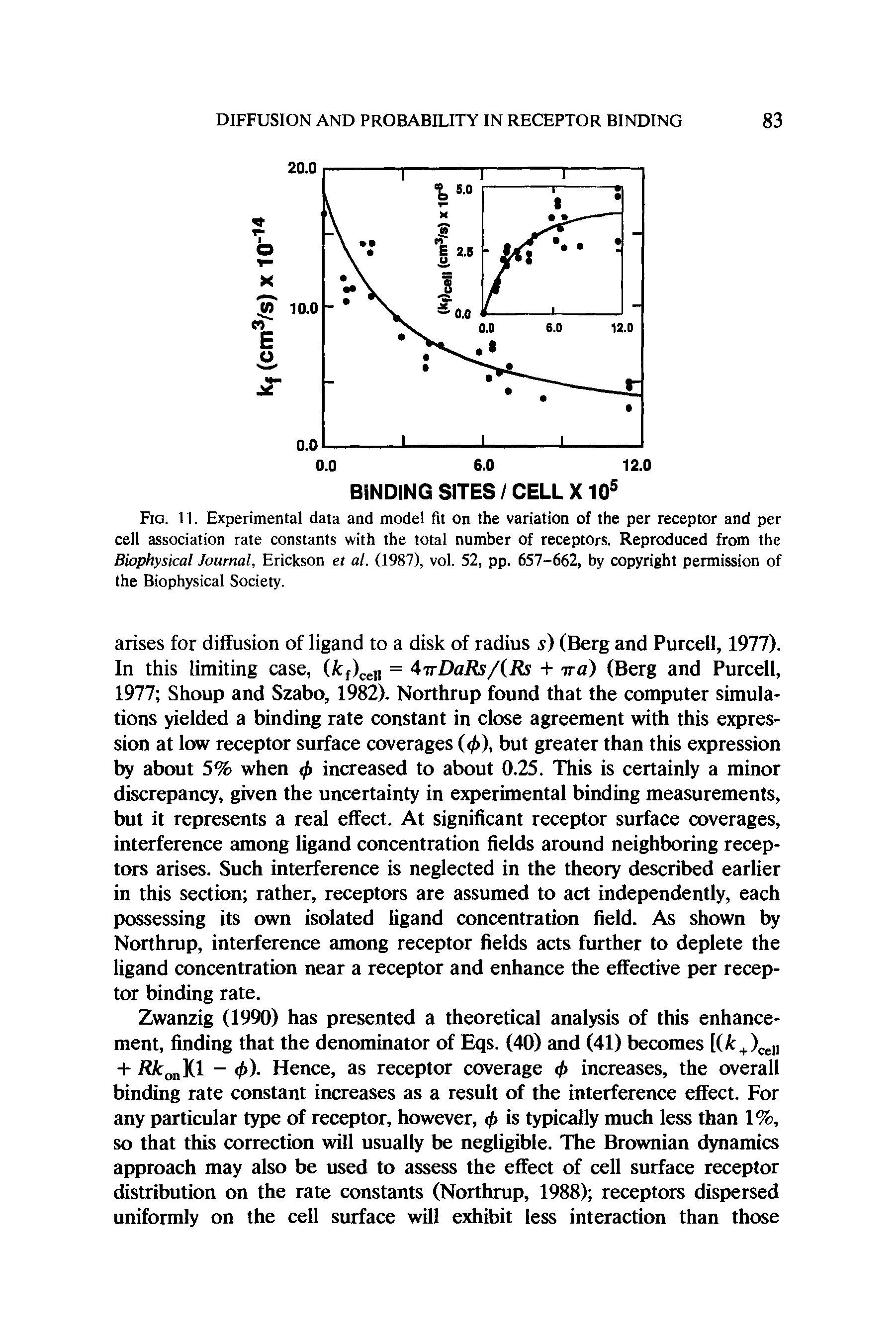 Fig. 11. Experimental data and model fit on the variation of the per receptor and per cell association rate constants with the total number of receptors. Reproduced from the Biophysical Journal, Erickson et al. (1987), vol. 52, pp. 657-662, by copyright permission of the Biophysical Society.