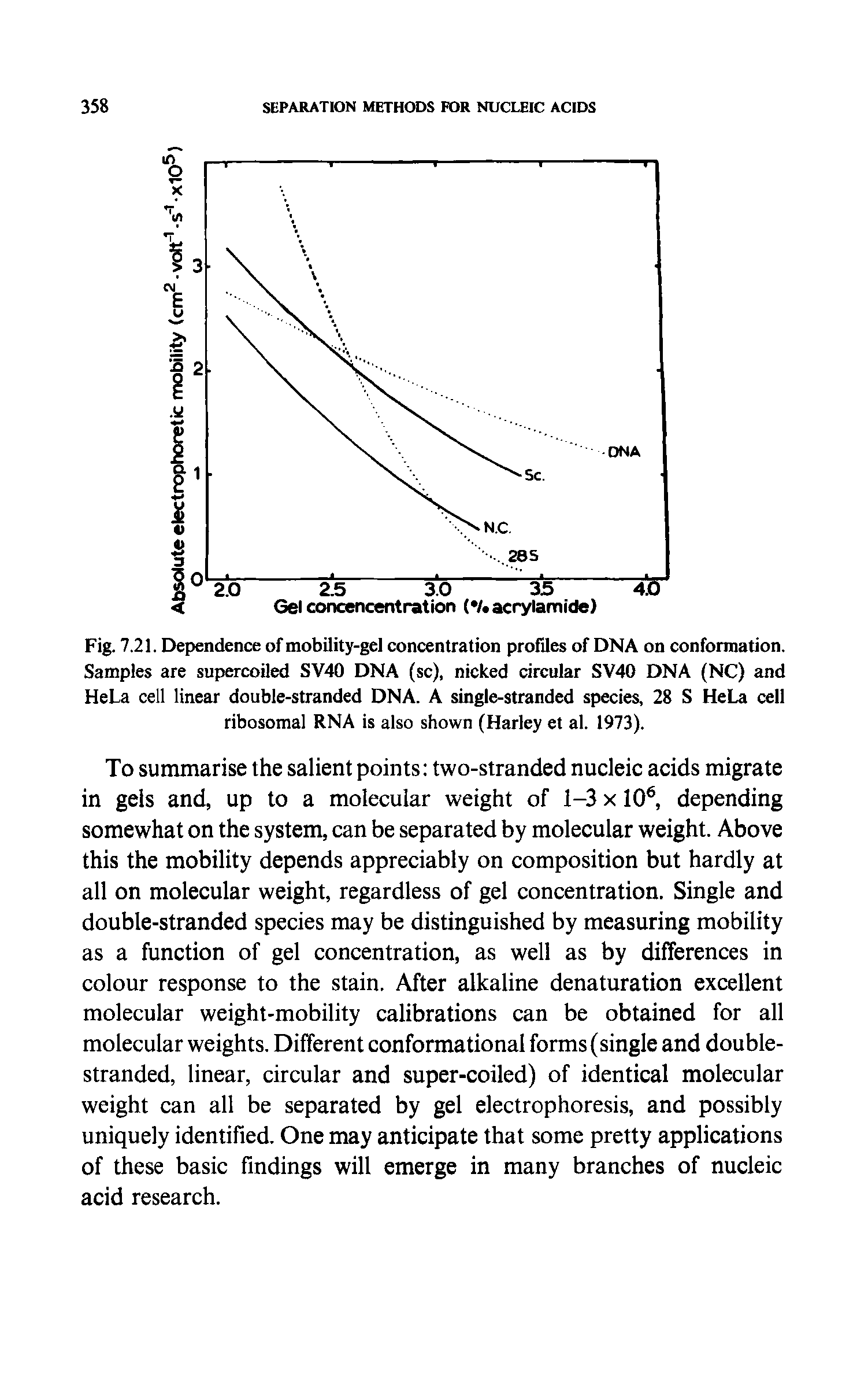 Fig. 7.21. Dependence of mobility-gel concentration profiles of DNA on conformation. Samples are supercoiled SV40 DNA (sc), nicked circular SV40 DNA (NC) and HeLa cell linear double-stranded DNA. A single-stranded species, 28 S HeLa cell ribosomal RNA is also shown (Harley et al. 1973).