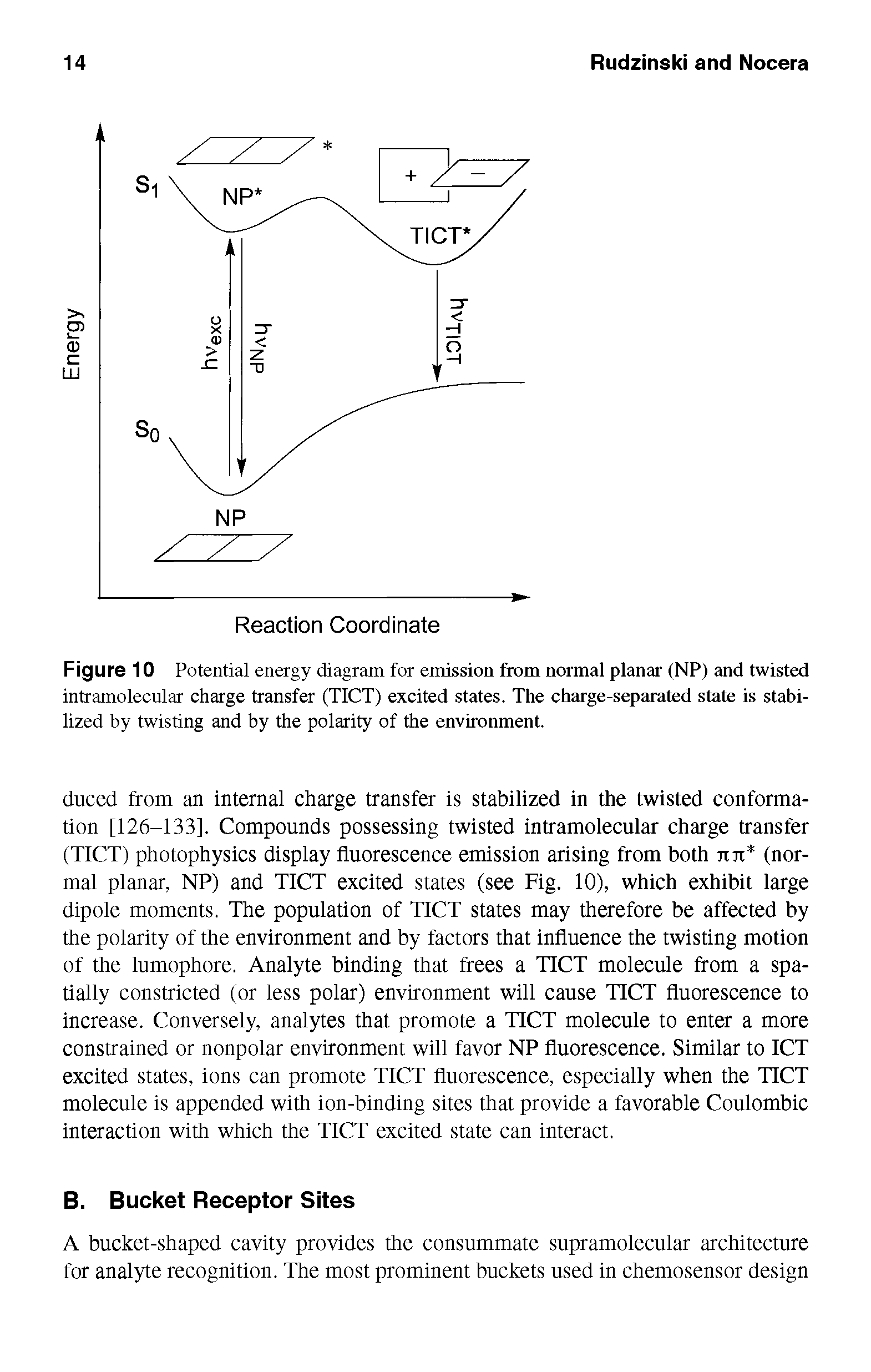 Figure 10 Potential energy diagram for emission from normal planar (NP) and twisted intramolecular charge transfer (TICT) excited states. The charge-separated state is stabilized by twisting and by the polarity of the environment.