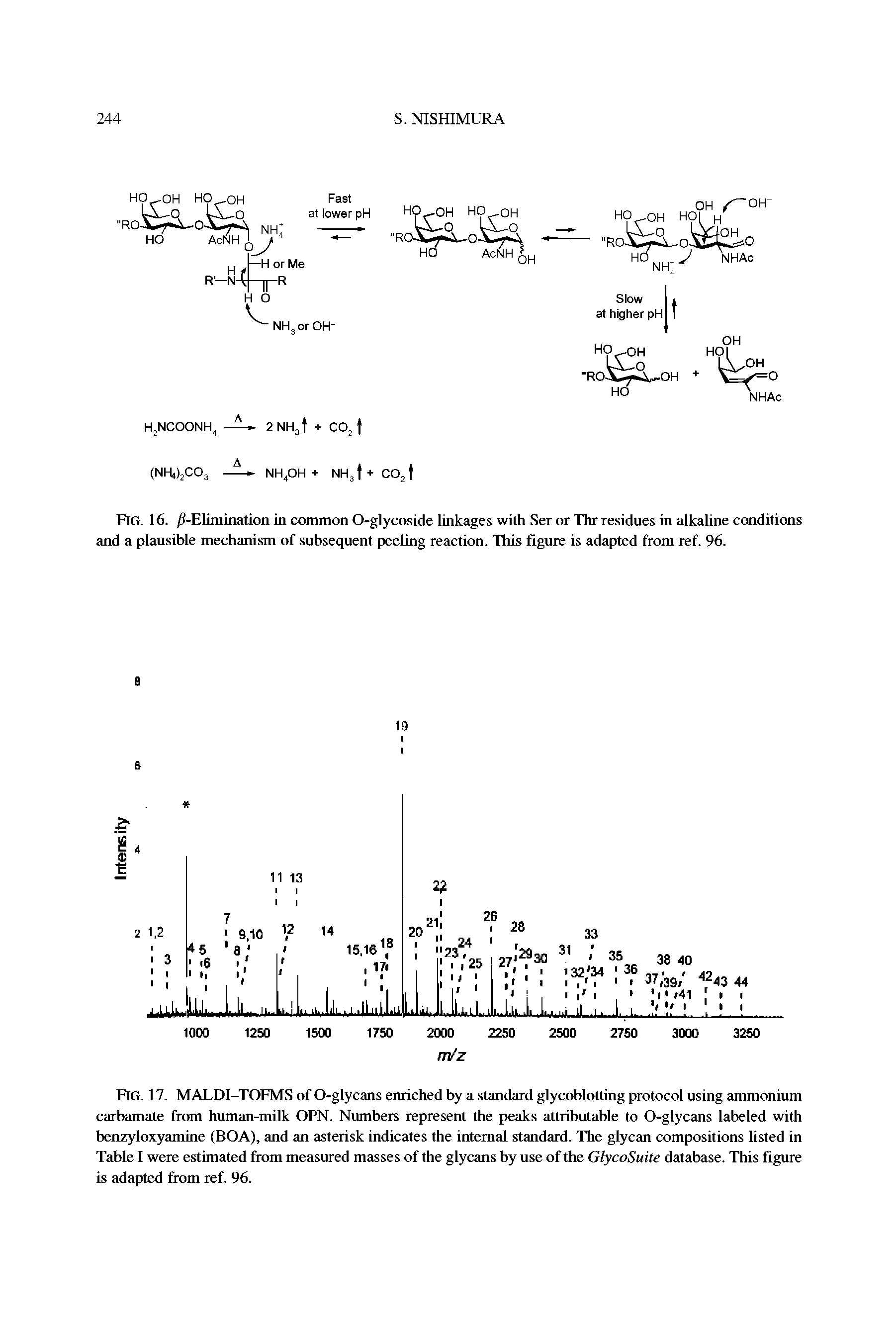 Fig. 17. MALDI-TOFMS of O-glycans enriched by a standard glycoblotting protocol using ammonium carbamate from human-milk OPN. Numbers represent the peaks attributable to O-glycans labeled with benzyloxyamine (BOA), and an asterisk indicates the internal standard. The glycan compositions listed in Table I were estimated from measured masses of the glycans by use of the GlycoSuite database. This figure is adapted from ref. 96.