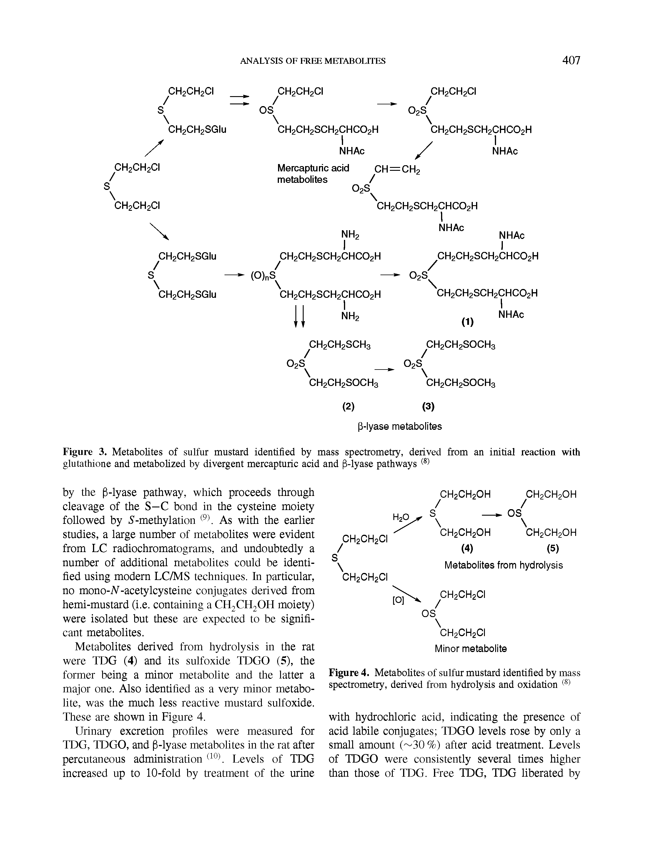 Figure 3. Metabolites of sulfur mustard identified by mass spectrometry, derived from an initial reaction with glutathione and metabolized by divergent mercapturic acid and (1-lyase pathways (8)...