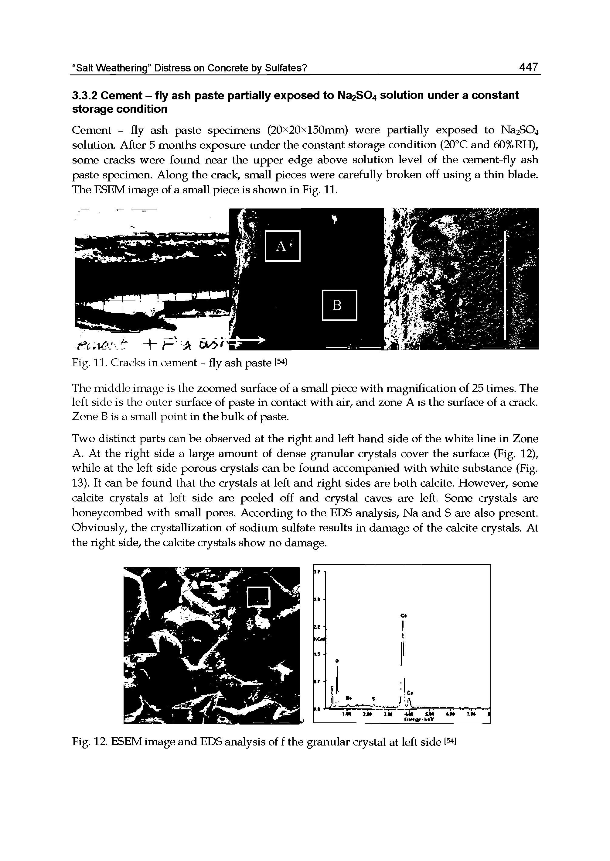 Fig. 12. ESEM image and EDS analysis of f the granular crystal at left side...