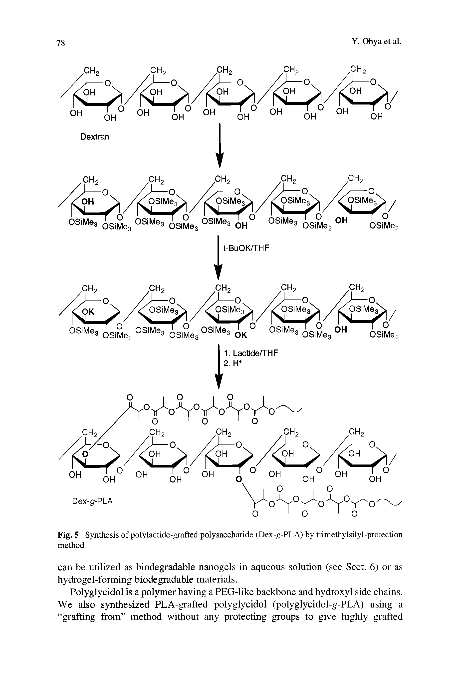 Fig. 5 Synthesis of polylactide-grafted polysaccharide (Dex-g-PLA) by trimethylsilyl-protection method...