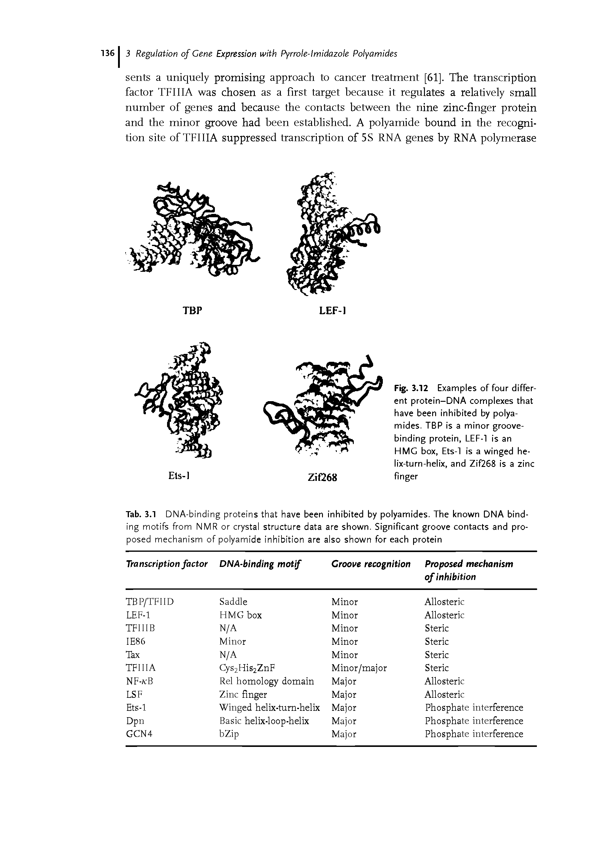 Tab. 3.1 DNA-binding proteins that have been inhibited by polyamides. The known DNA binding motifs from NMR or crystal structure data are shown. Significant groove contacts and proposed mechanism of polyamide inhibition are also shown for each protein...