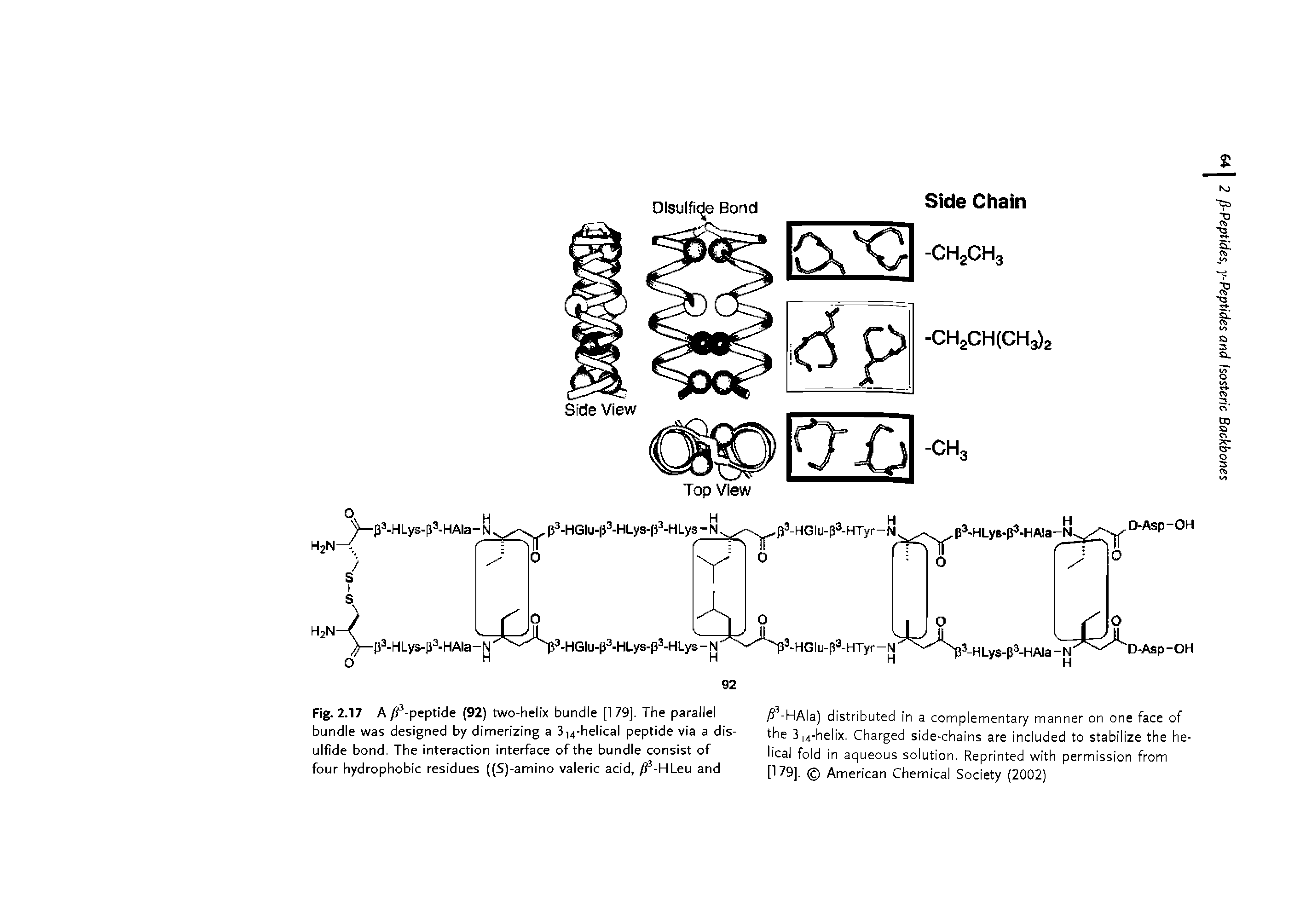 Fig. 2.17 A / -peptide (92) two-helix bundle [1 79]. The parallel bundle was designed by dimerizing a 3,4-helical peptide via a disulfide bond. The interaction interface of the bundle consist of four hydrophobic residues ((S)-amino valeric acid, / -HLeu and...