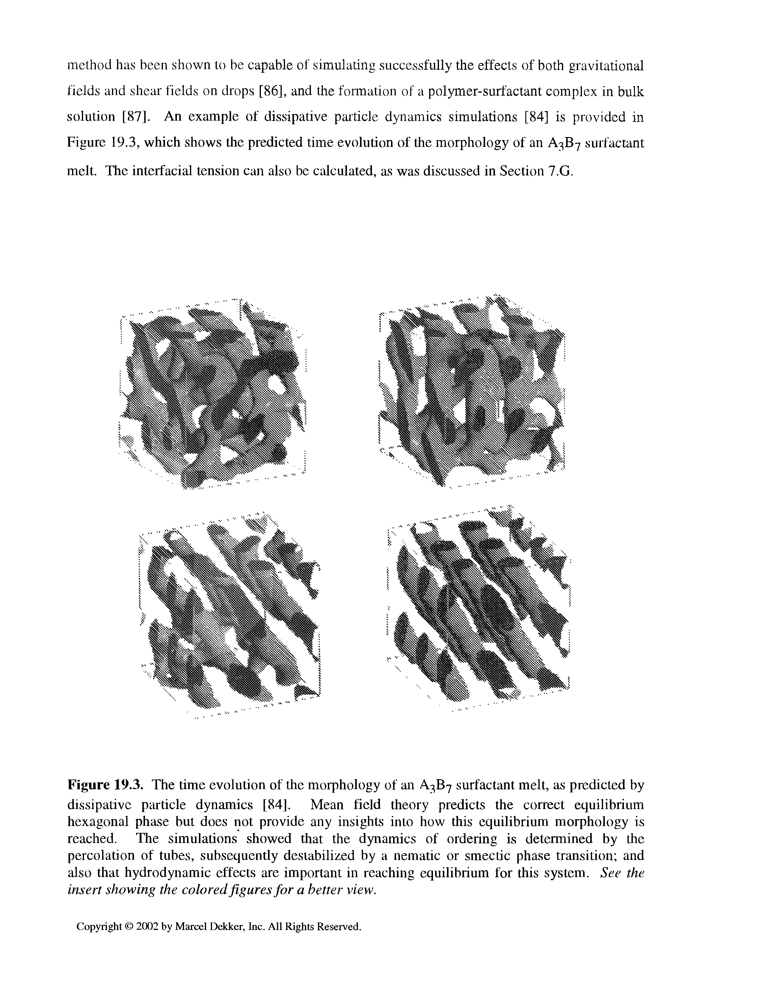 Figure 19.3. The time evolution of the morphology of an A3B7 surfactant melt, as predicted by dissipative particle dynamics [84], Mean field theory predicts the correct equilibrium hexagonal phase but does not provide any insights into how this equilibrium morphology is reached. The simulations showed that the dynamics of ordering is determined by the percolation of tubes, subsequently destabilized by a nematic or smectic phase transition and also that hydrodynamic effects are important in reaching equilibrium for this system. See the insert showing the colored figures for a better view.