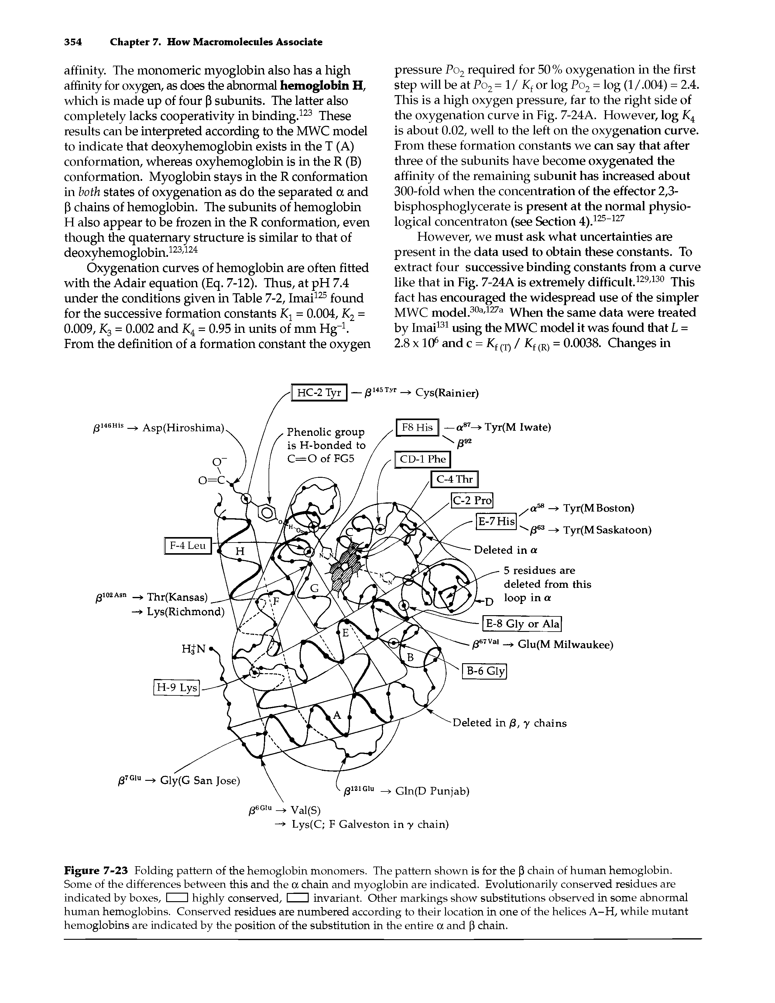 Figure 7-23 Folding pattern of the hemoglobin monomers. The pattern shown is for the P chain of human hemoglobin. Some of the differences between this and the a chain and myoglobin are indicated. Evolutionarily conserved residues are indicated by boxes, I I highly conserved, I I invariant. Other markings show substitutions observed in some abnormal human hemoglobins. Conserved residues are numbered according to their location in one of the helices A-H, while mutant hemoglobins are indicated by the position of the substitution in the entire a and P chain.