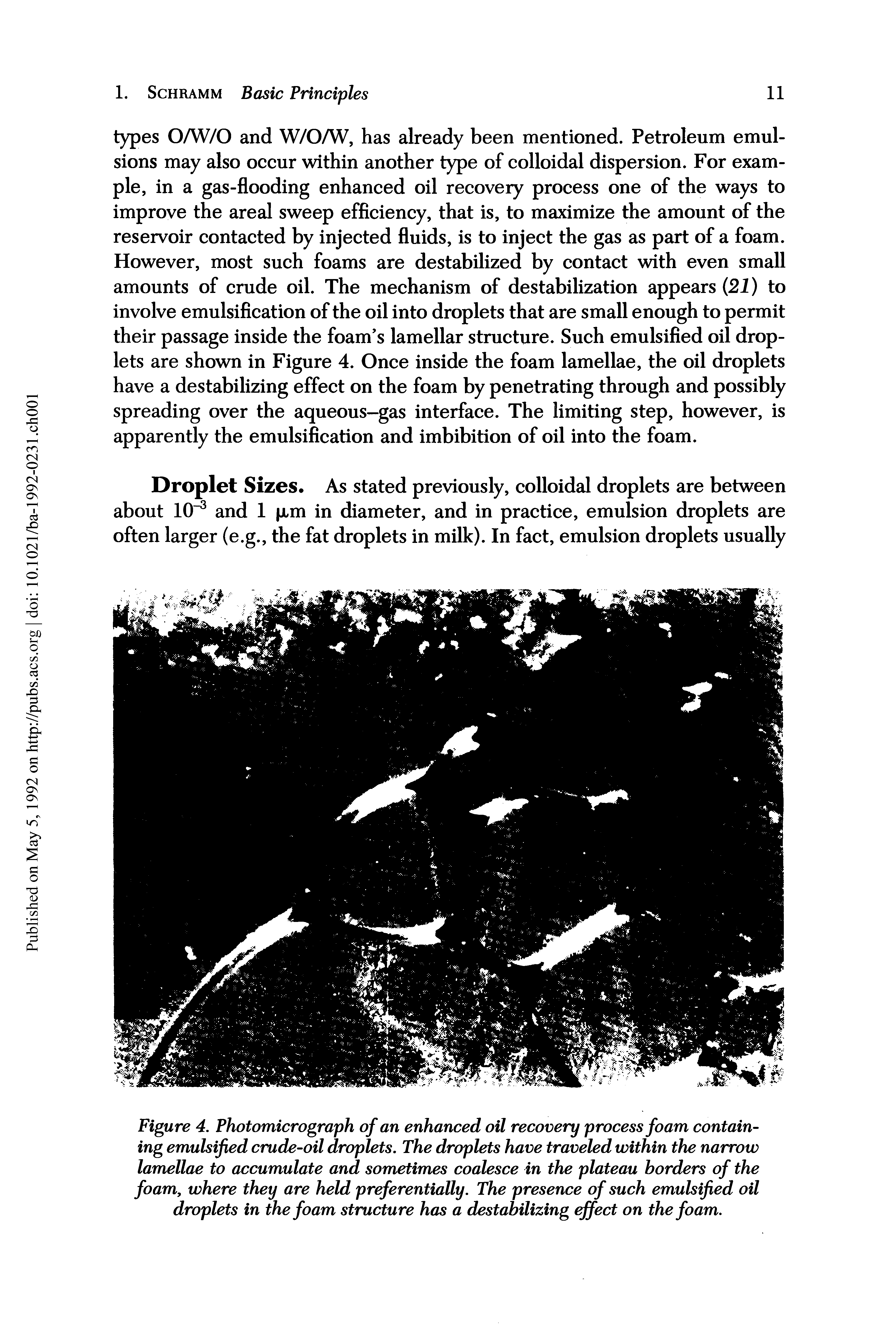 Figure 4. Photomicrograph of an enhanced oil recovery process foam containing emulsified crude-oil droplets. The droplets have traveled within the narrow lamellae to accumulate and sometimes coalesce in the plateau borders of the foam, where they are held preferentially. The presence of such emulsified oil droplets in the foam structure has a destabilizing effect on the foam.