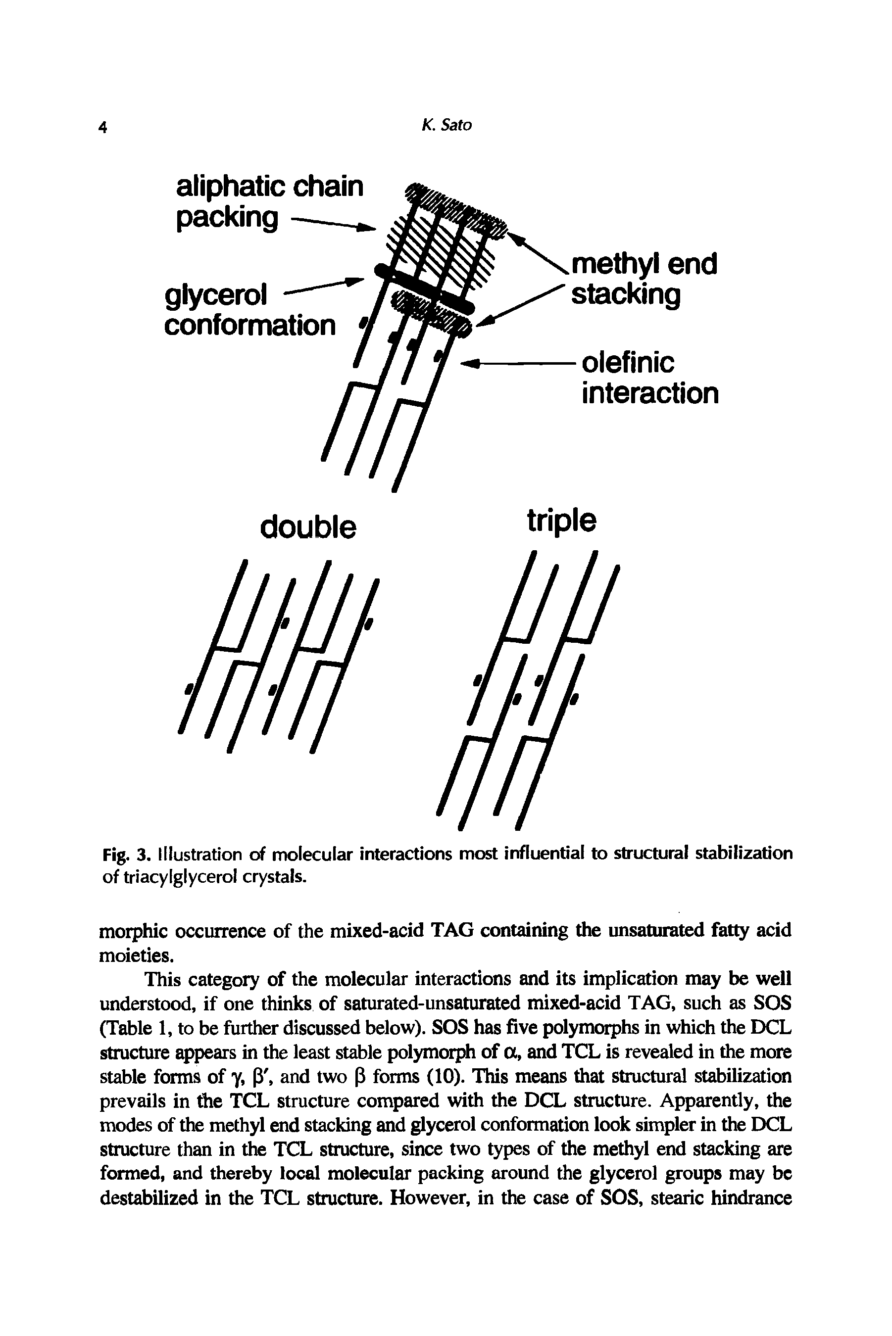 Fig. 3. Illustration of molecular interactions most irrfluential to structural stabilization of triacylglycerol crystals.